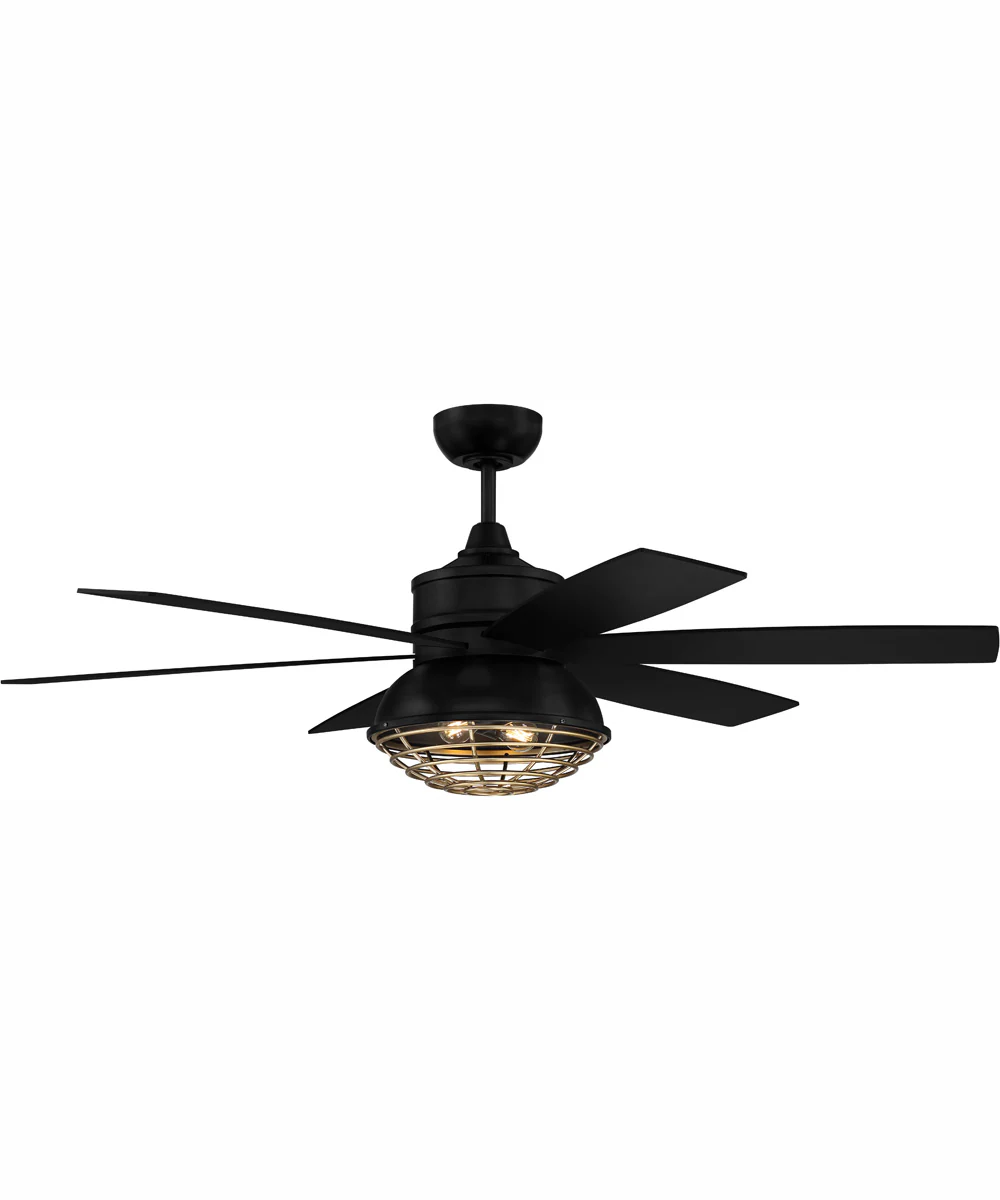 52" Rugged 2-Light Indoor/Outdoor Ceiling Fan Flat Black/Satin Brass - Image 2