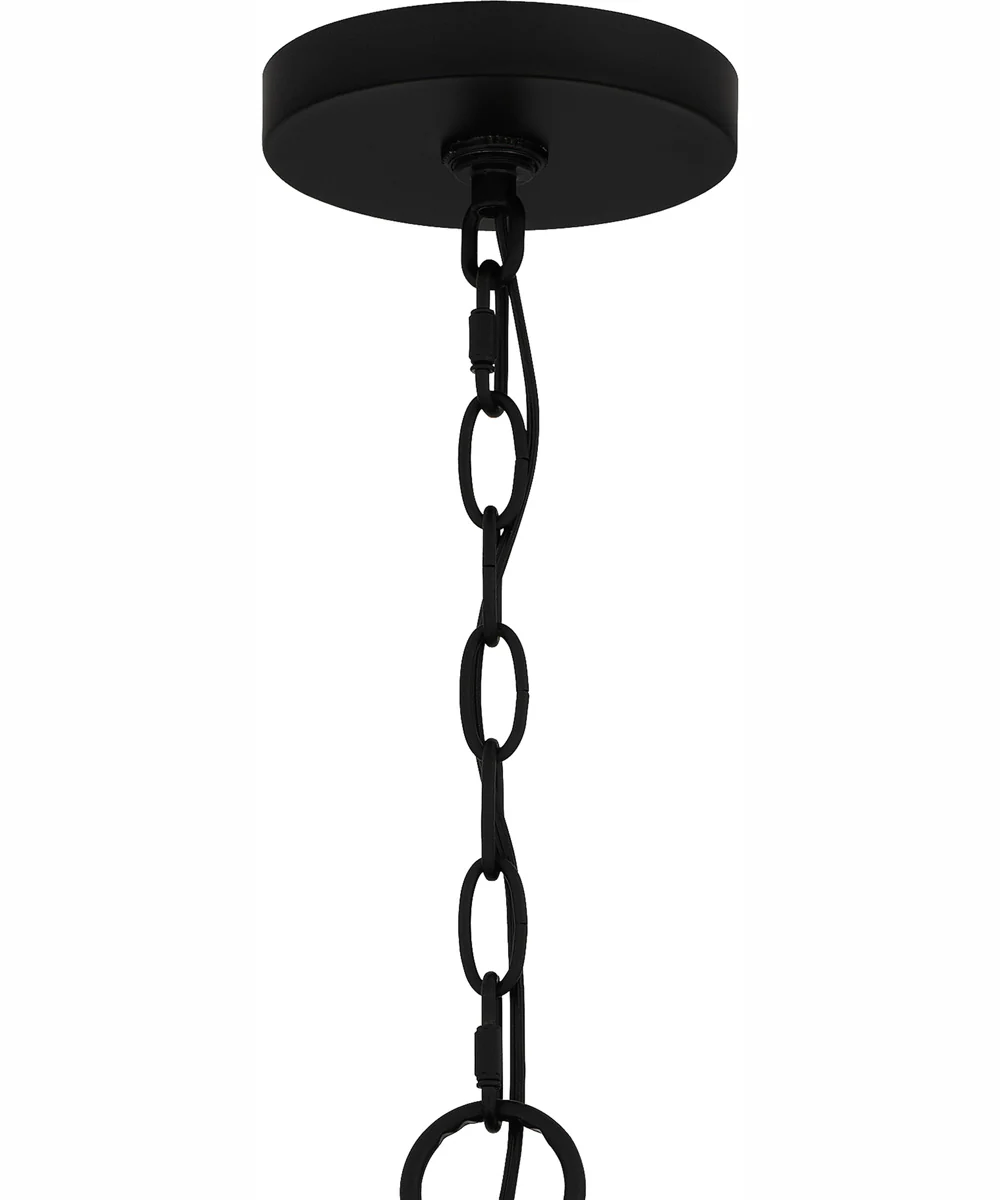 Adelaide 4-light Pendant Matte Black - Image 7