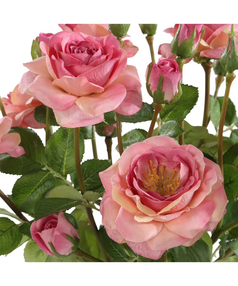 Adoration Rose Bouquet - Image 3