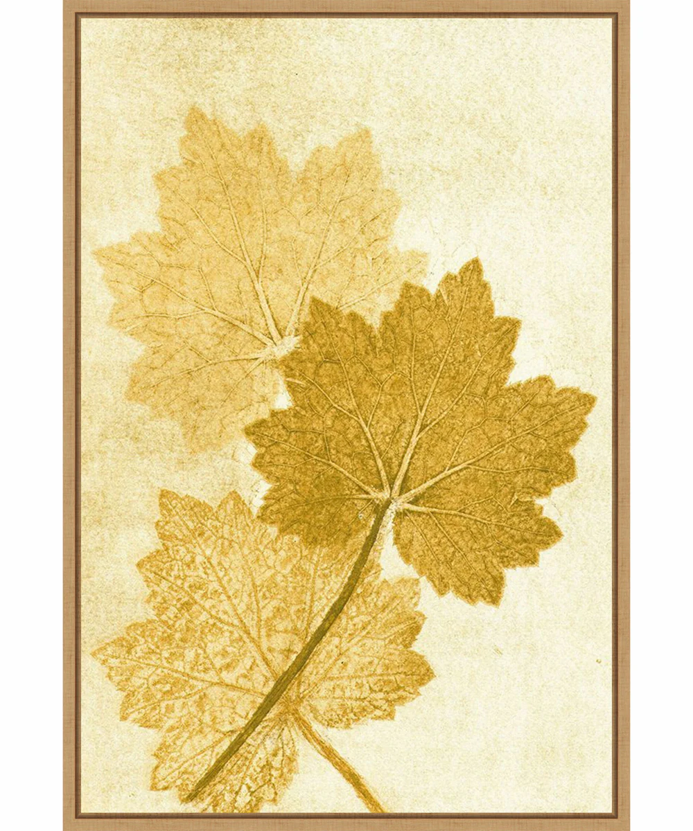 Framed Amber Leaves by Pernille Folcarelli Canvas Wall Art Print (23 W x 33 H), Sylvie Maple Frame