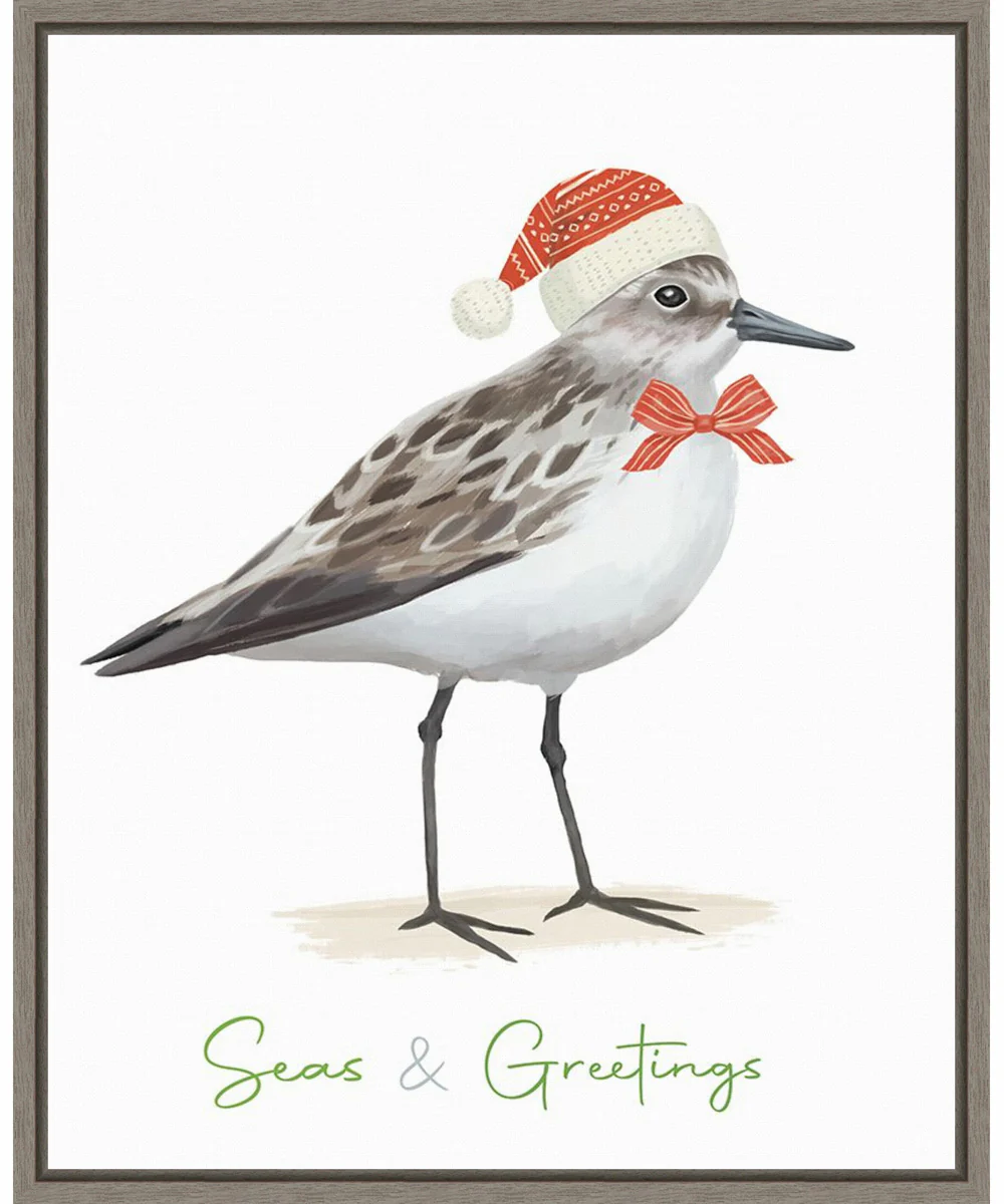 Framed Christmas Sandpiper I by Lucca Sheppard Canvas Wall Art Print (23 W x 28 H), Sylvie Greywash Frame