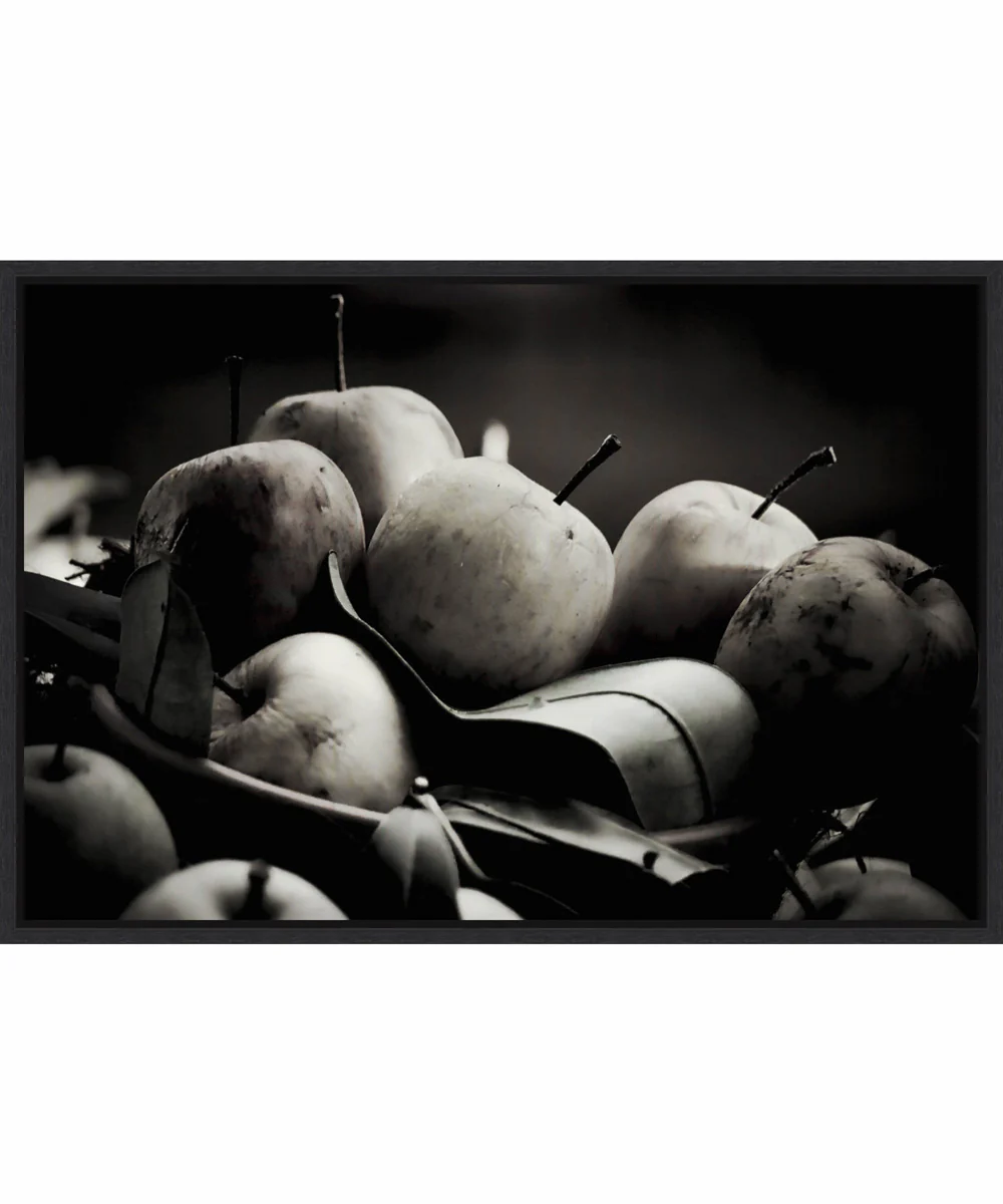 Framed Harvest Fruit by Alex Caminker Canvas Wall Art Print (33 W x 23 H), Sylvie Black Frame