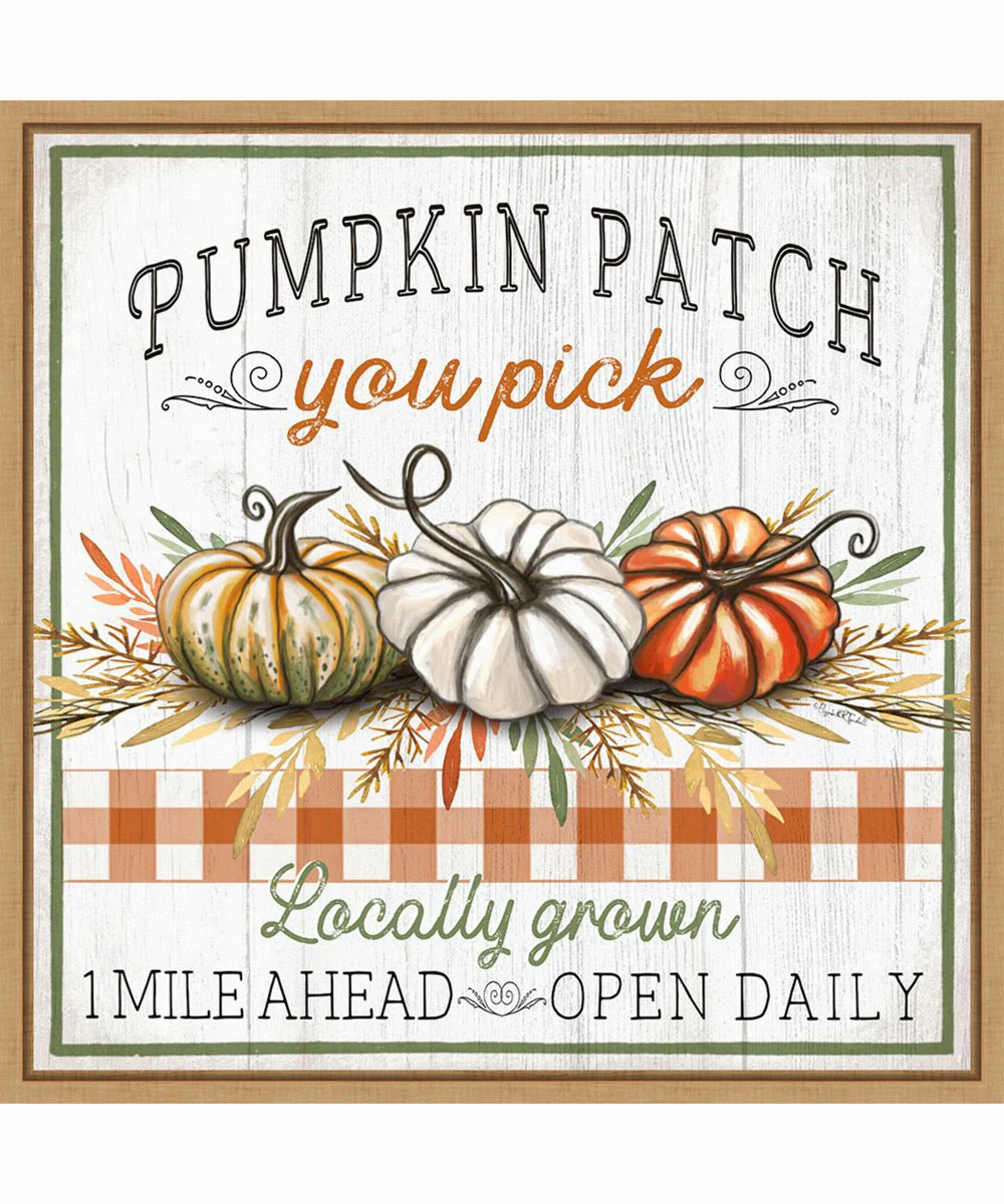 Framed Pumpkin Patch by Elizabeth Tyndall Canvas Wall Art Print (22 W x 22 H), Sylvie Maple Frame