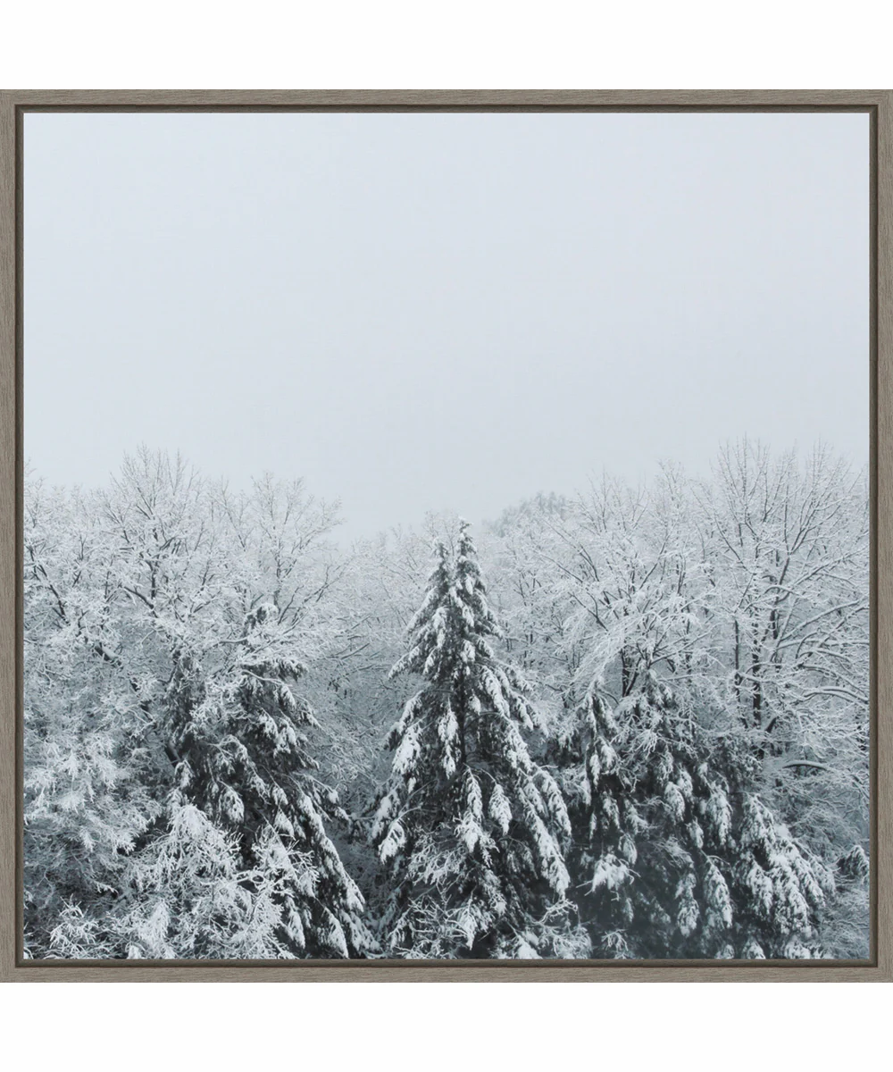 Framed Snowshoe Hill and Trees by Sue Schlabach Canvas Wall Art Print (30 W x 30 H), Sylvie Greywash Frame