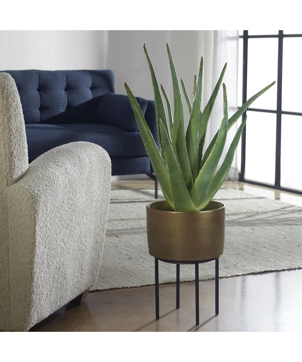 Arabia Aloe Planter - Image 2