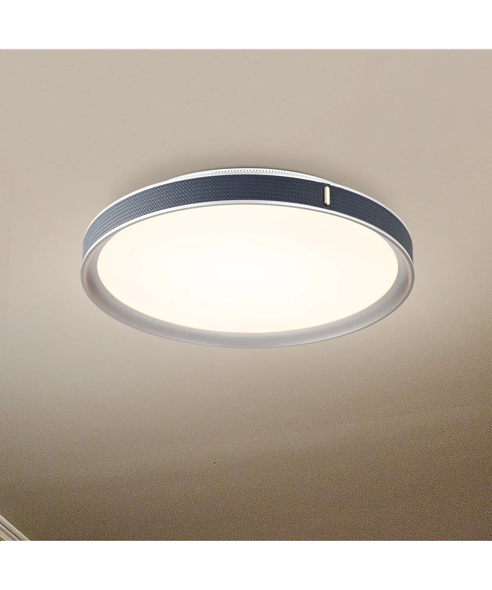 Bandon Close-to-Ceiling Gray - Image 3