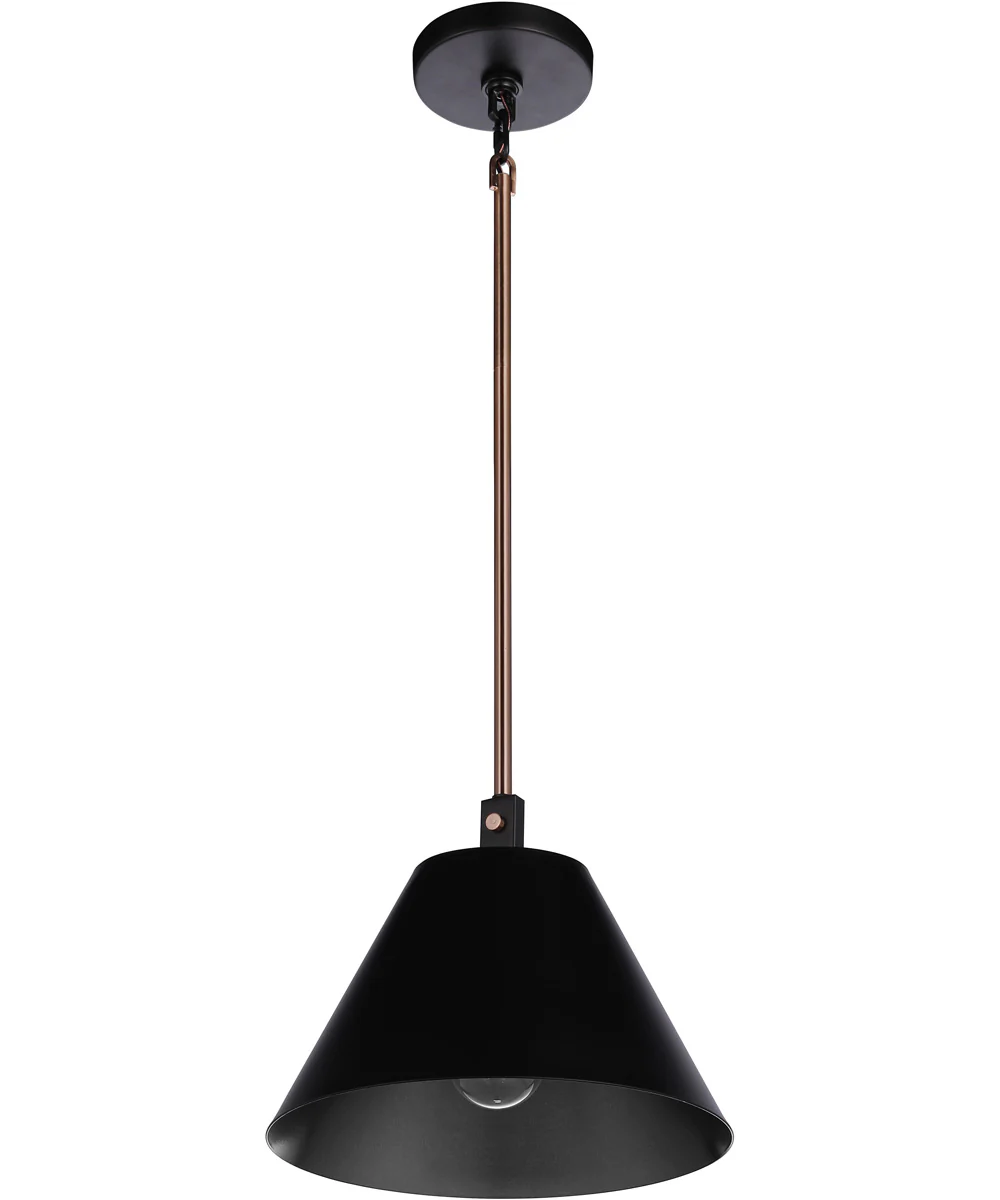 Blake 1-Light Lighting Flat Black/Satin Brass - Image 4