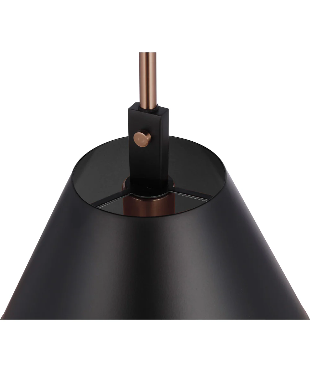 Blake 1-Light Lighting Flat Black/Satin Brass - Image 8