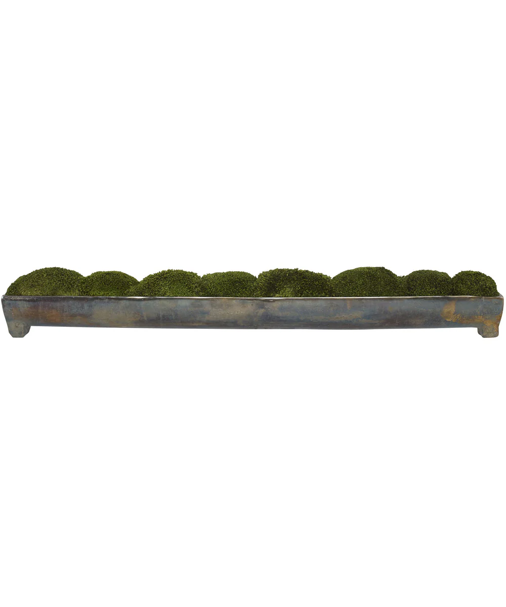 Canal Moss Centerpiece
