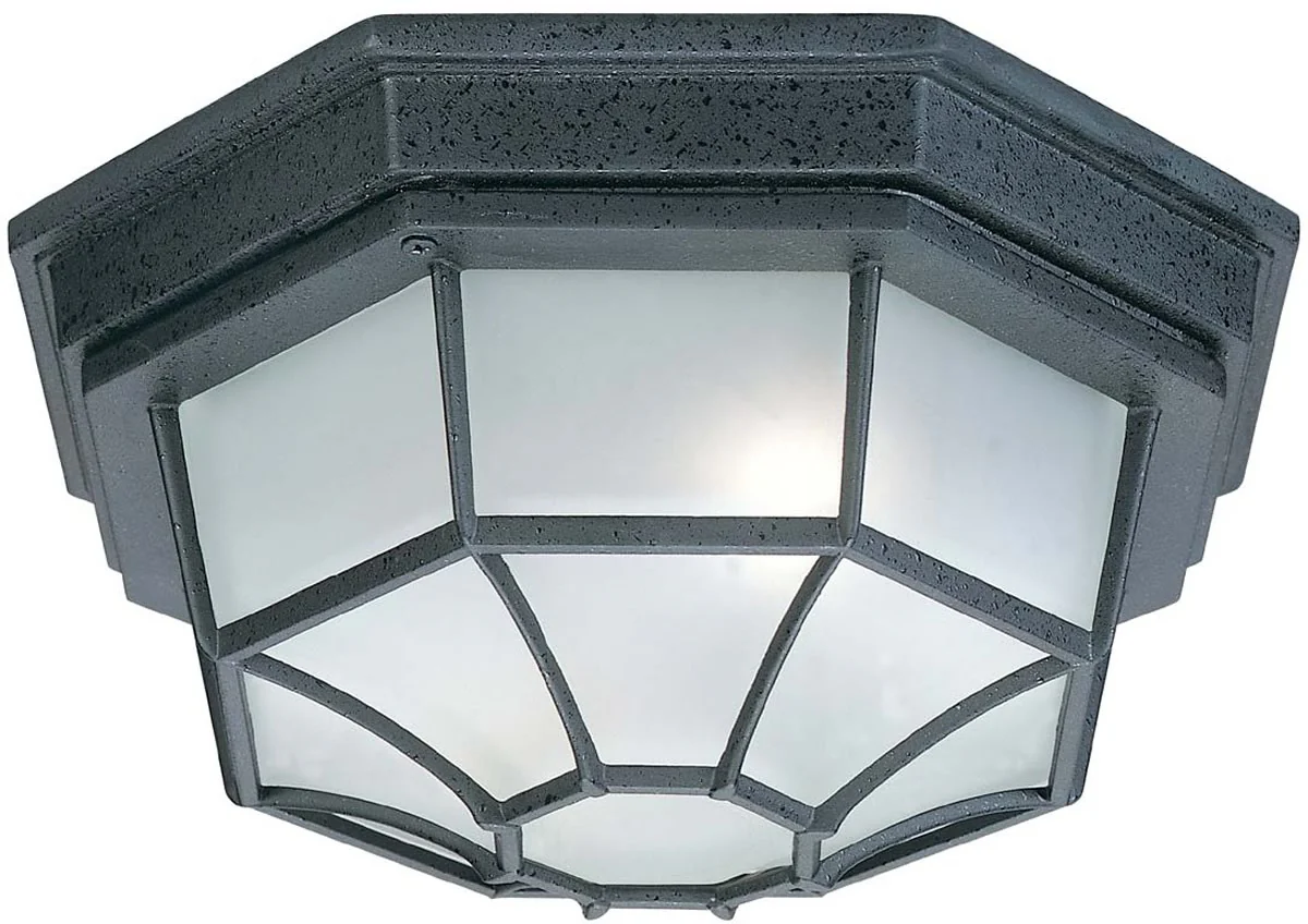 11"W 2 Lamp Outdoor Ceiling Light Rain or Shine - Black