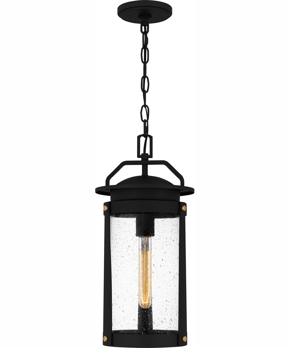 Clifton Large 1-light Outdoor Pendant Light  Coastal Armour Aluminum Earth Black - Image 2