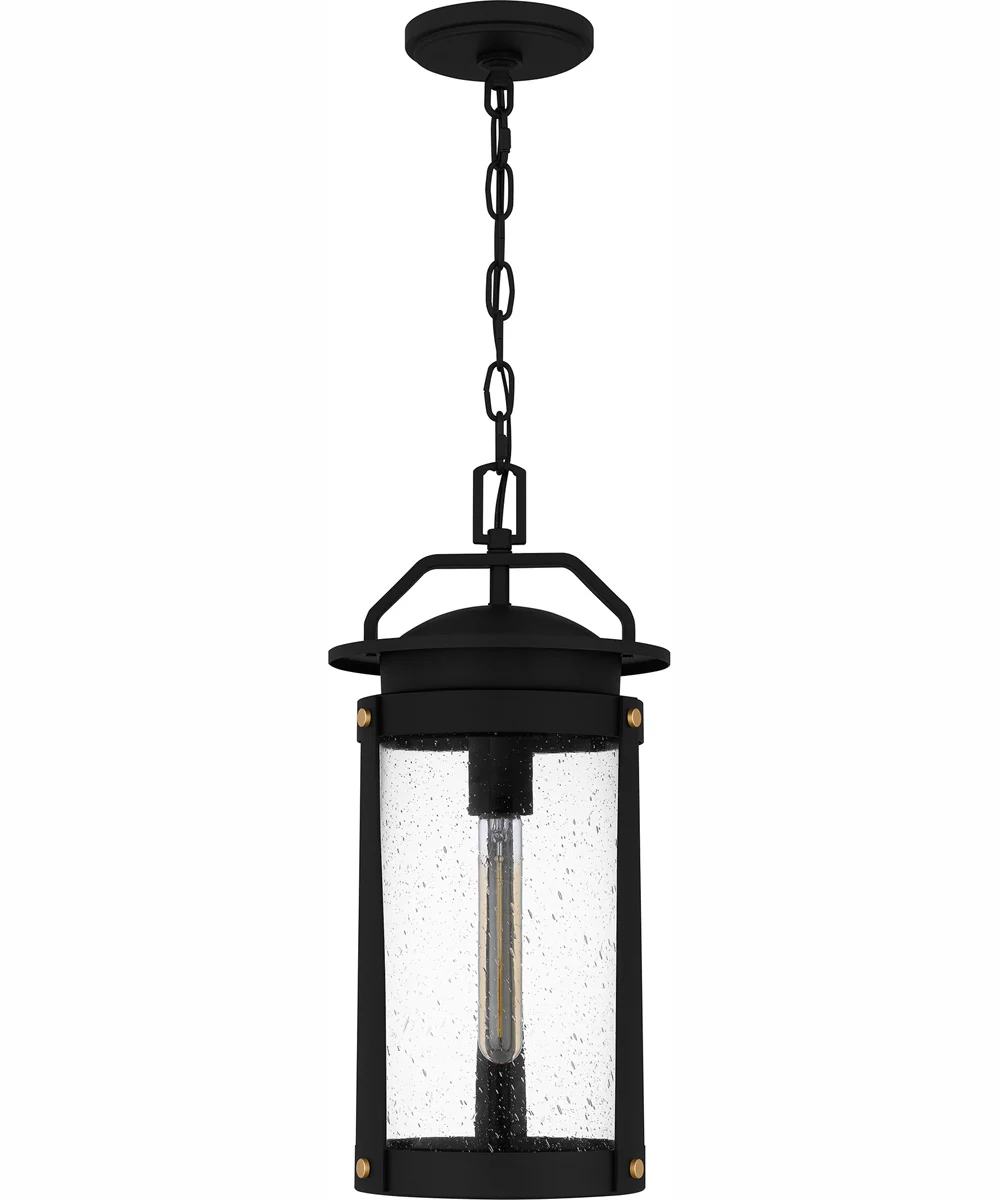Clifton Large 1-light Outdoor Pendant Light  Coastal Armour Aluminum Earth Black - Image 3
