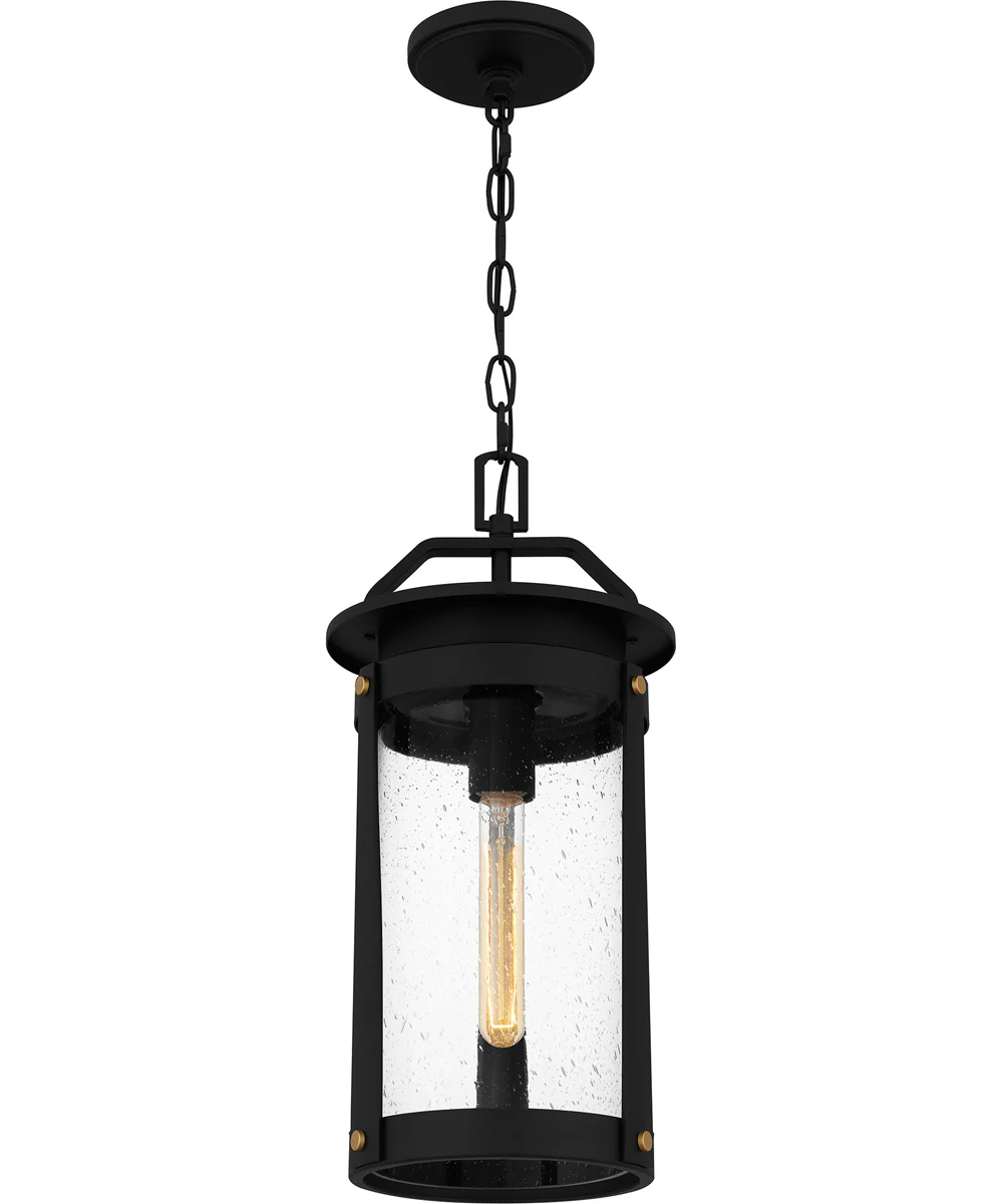 Clifton Large 1-light Outdoor Pendant Light  Coastal Armour Aluminum Earth Black - Image 5