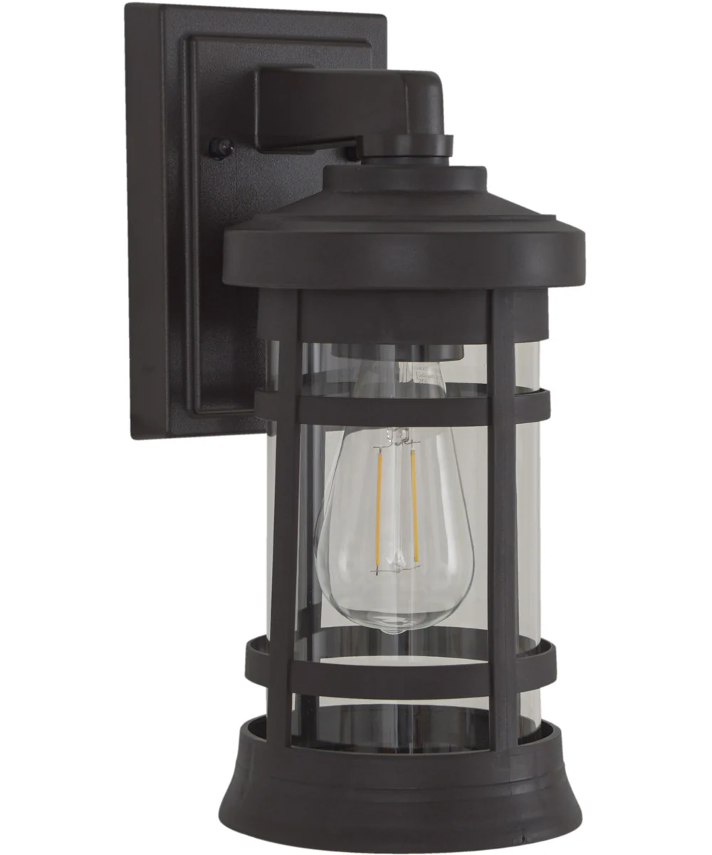 Resilience Lanterns 1-Light Outdoor Lantern Bronze
