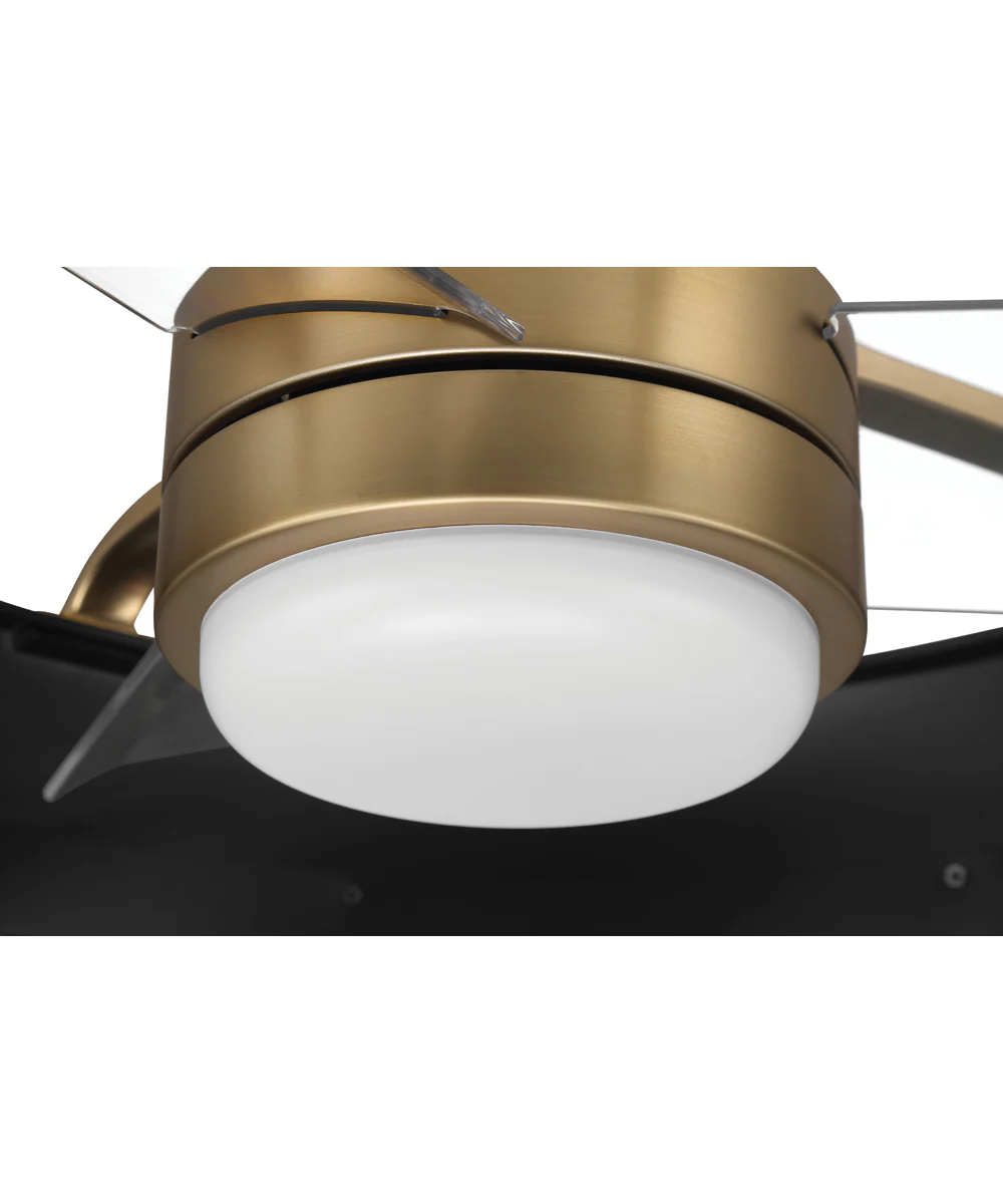 Taylor 24" 1-Light Ceiling Fan (Blades Included) Flat Black/Satin Brass - Image 6