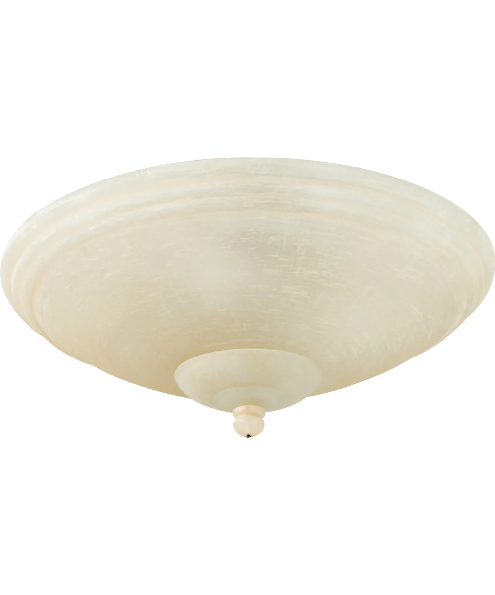 Universal Bowl Light Kit 2-Light LED Fan Light Kit Antique Linen