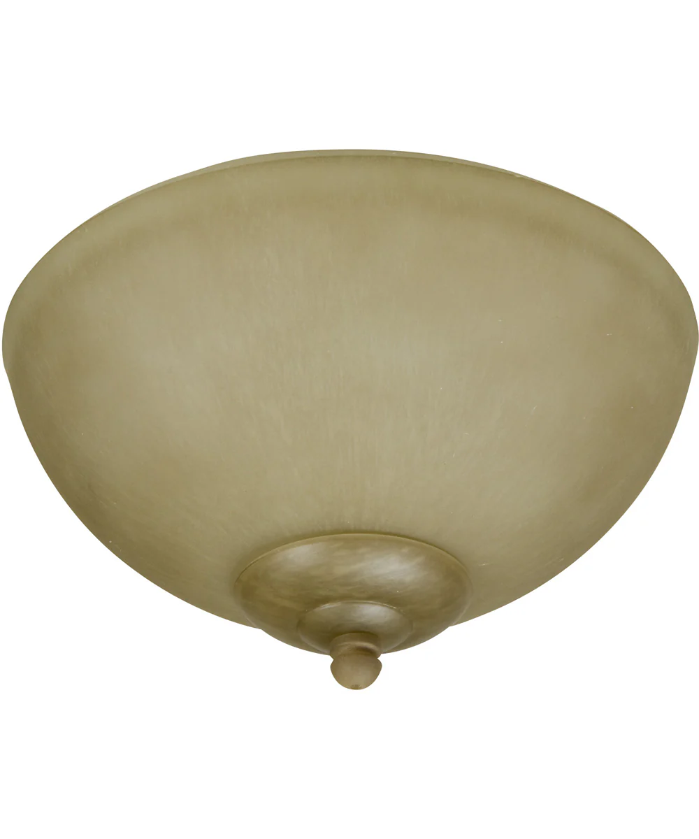 Universal Bowl Light Kit 2-Light LED Fan Light Kit Tea Stained