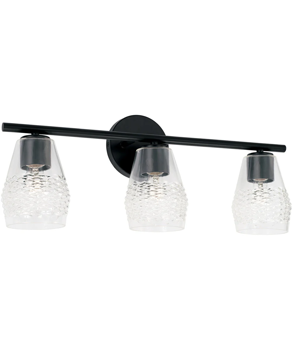 Dena 3-Light Vanity Matte Black