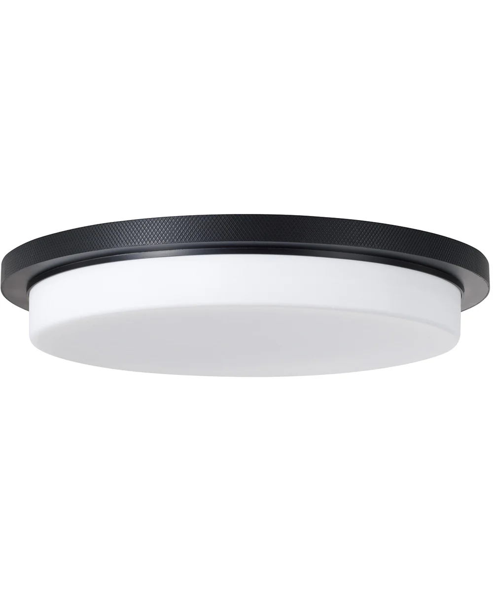 Dominic 1-Light Flush Matte Black