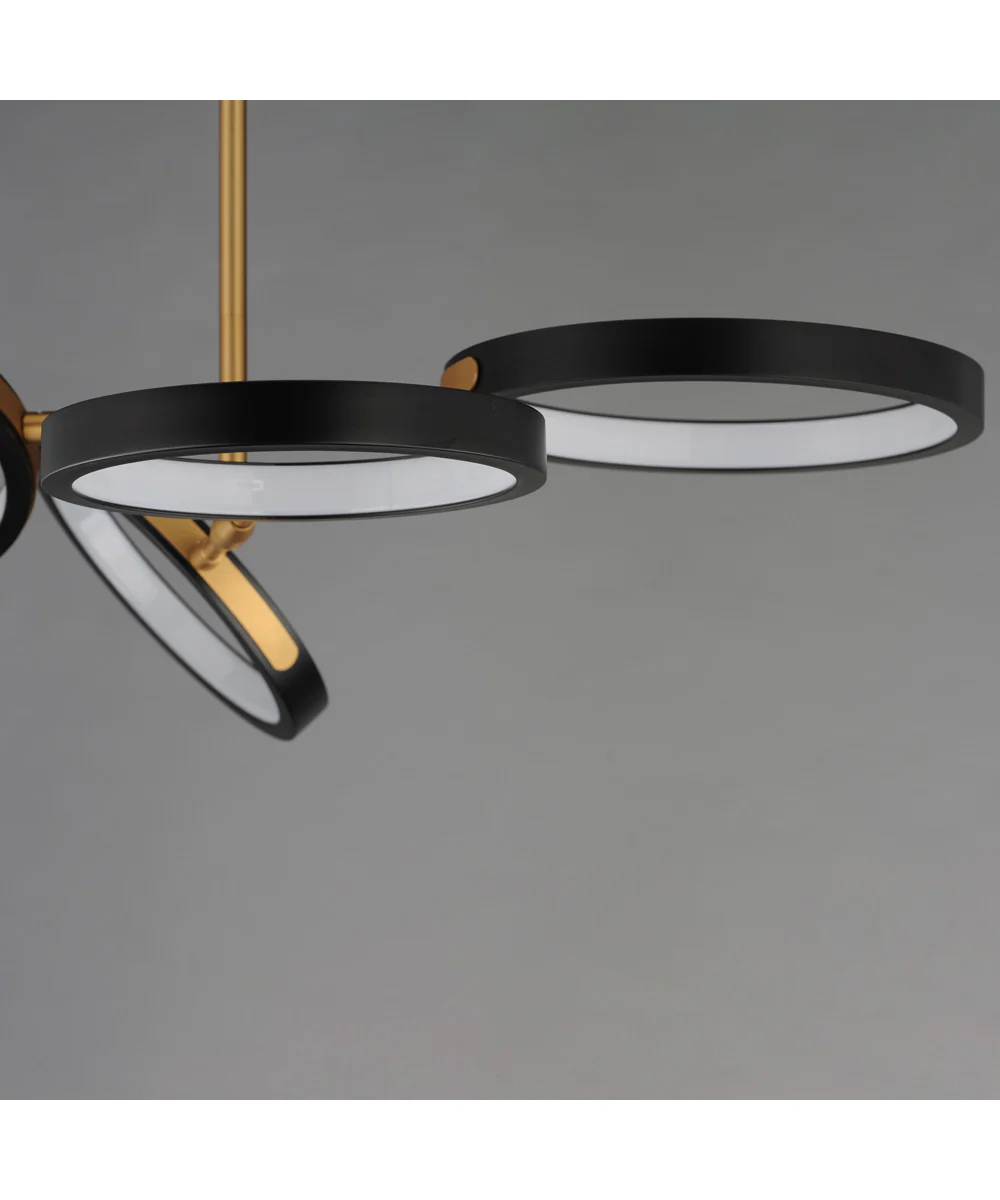 Hoopla 4-Light LED Pendant Black / Gold - Image 4