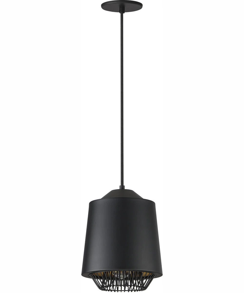 Phoenix 9 inch LED Pendant Black / Gold