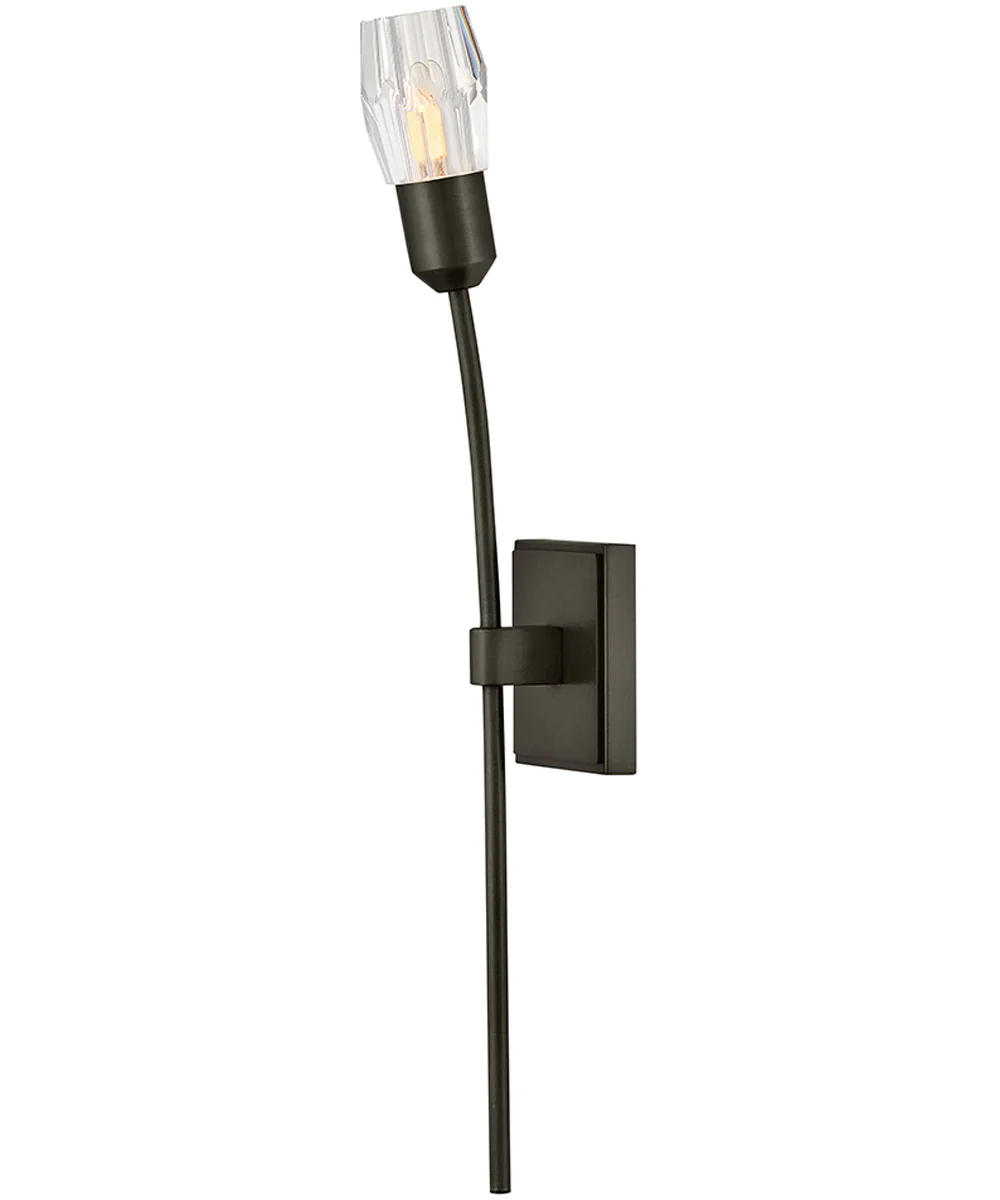 Atera 1-Light Large Single Light Sconce in Black Oxide