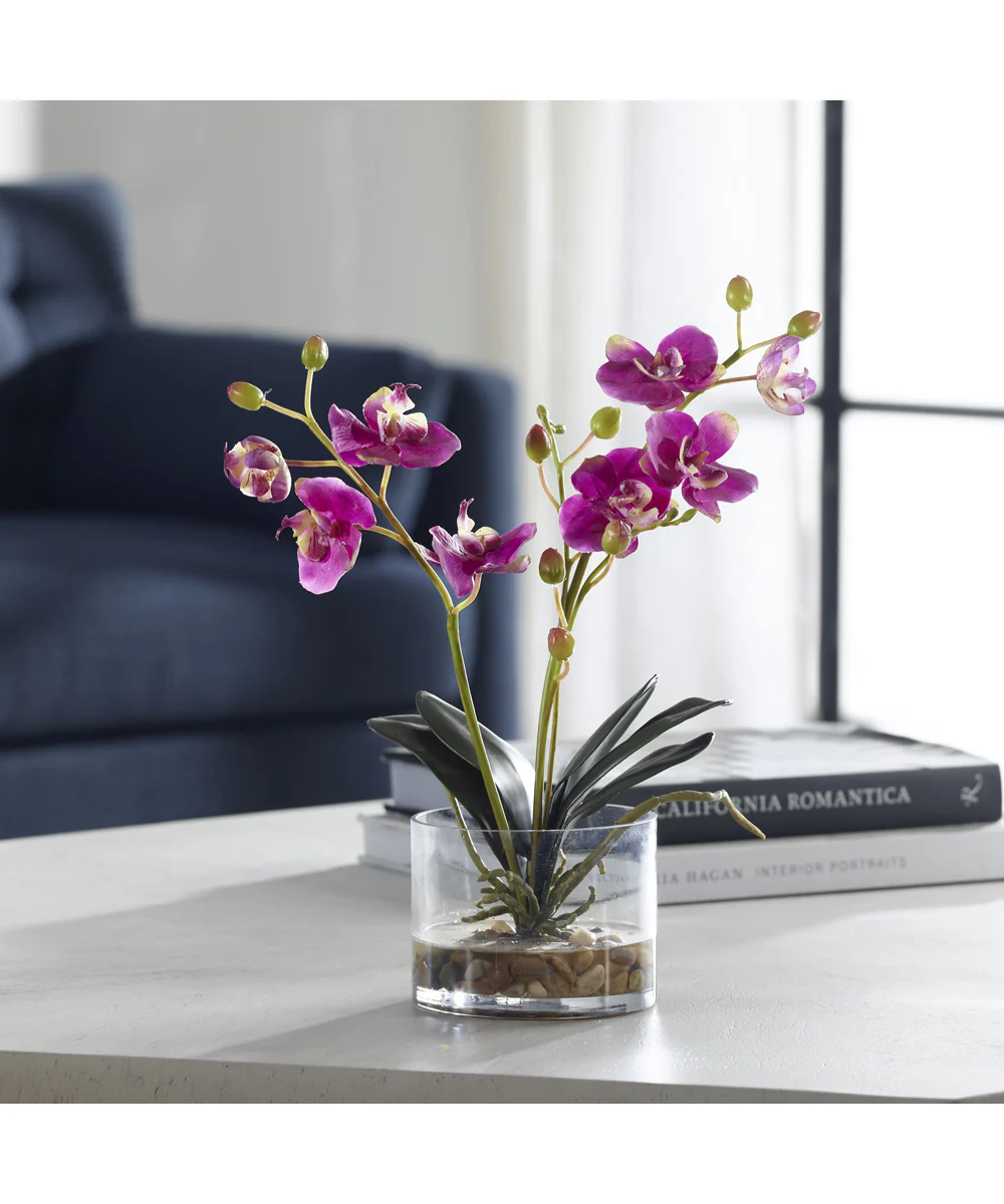 Glory Fuchsia Orchid - Image 2