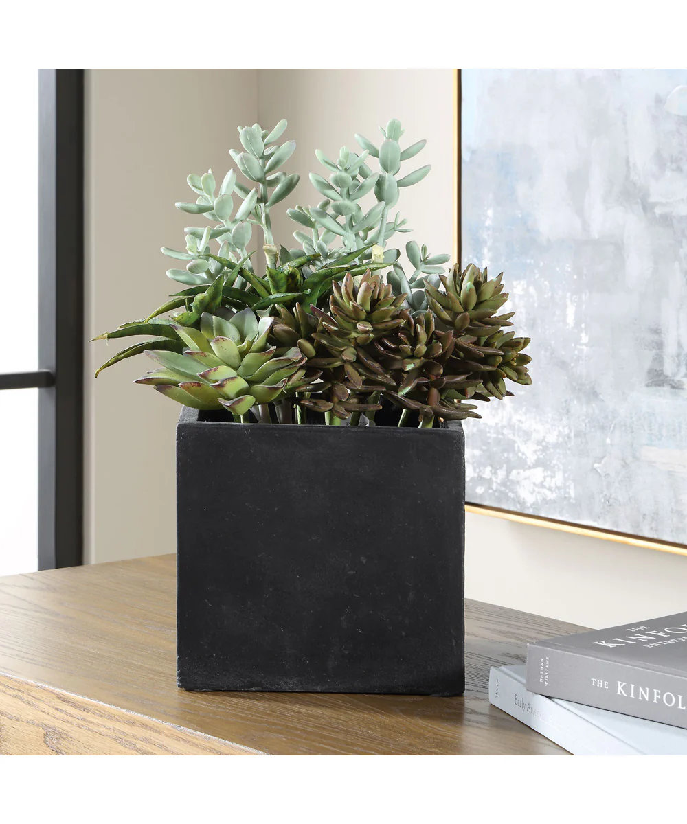 Greystone Indoor-Outdoor Succulent - Image 2