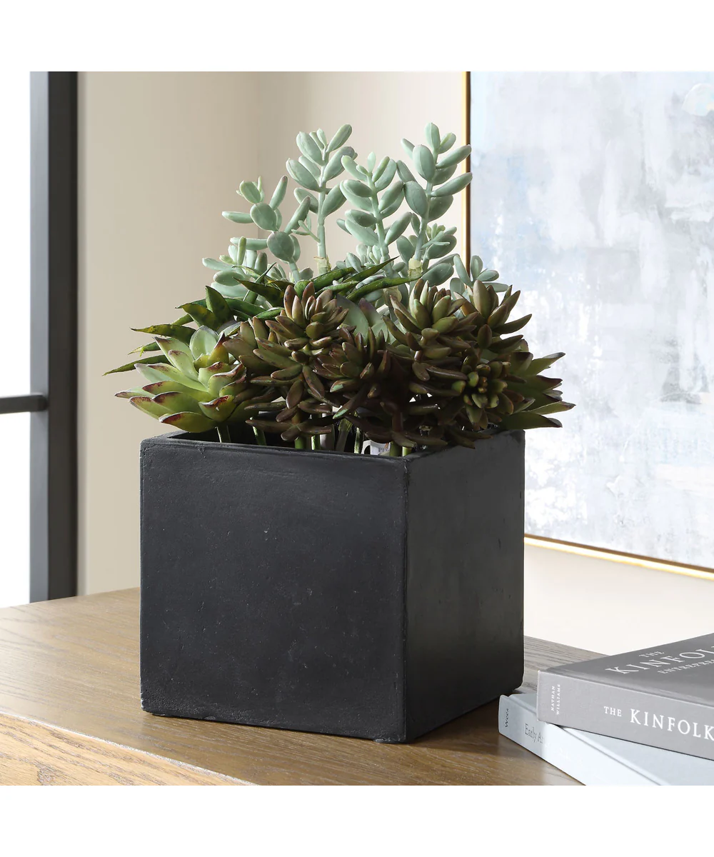Greystone Indoor-Outdoor Succulent - Image 3