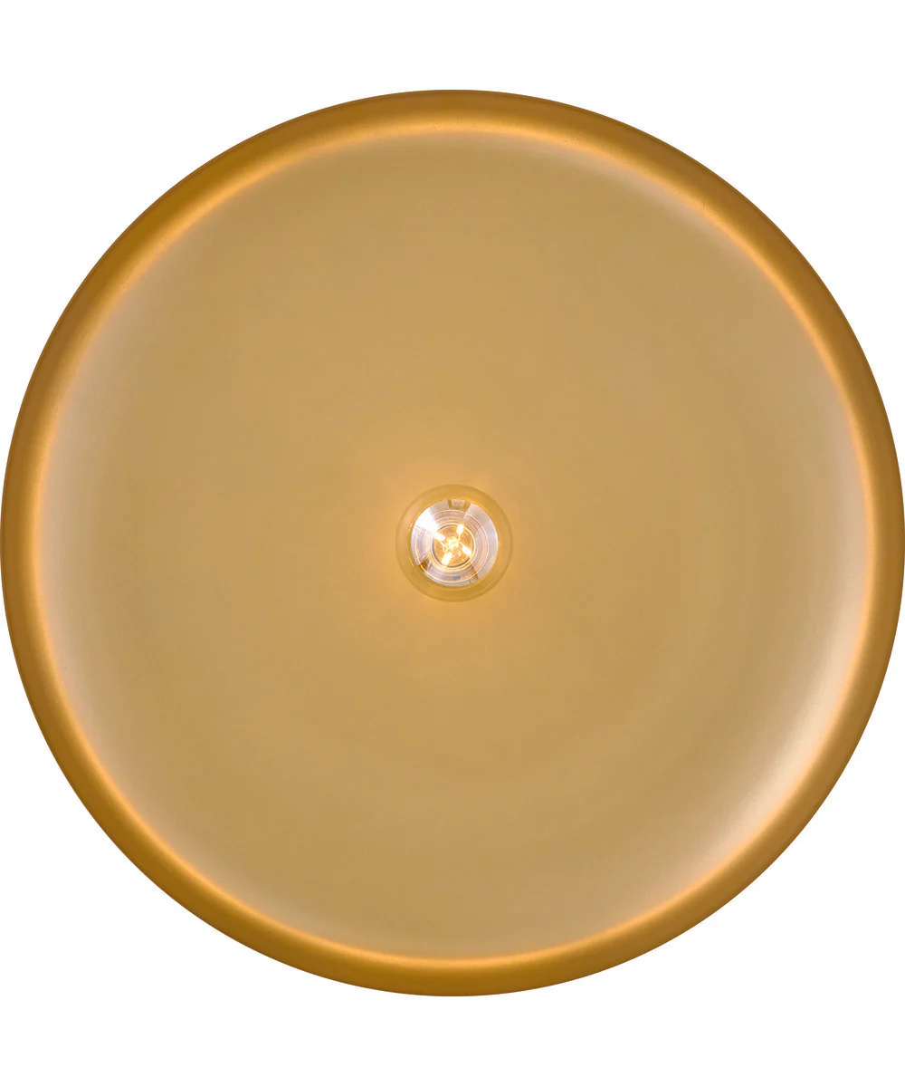 Sadie 1-Light Medium Dome Chandelier in Lacquered Brass - Image 4