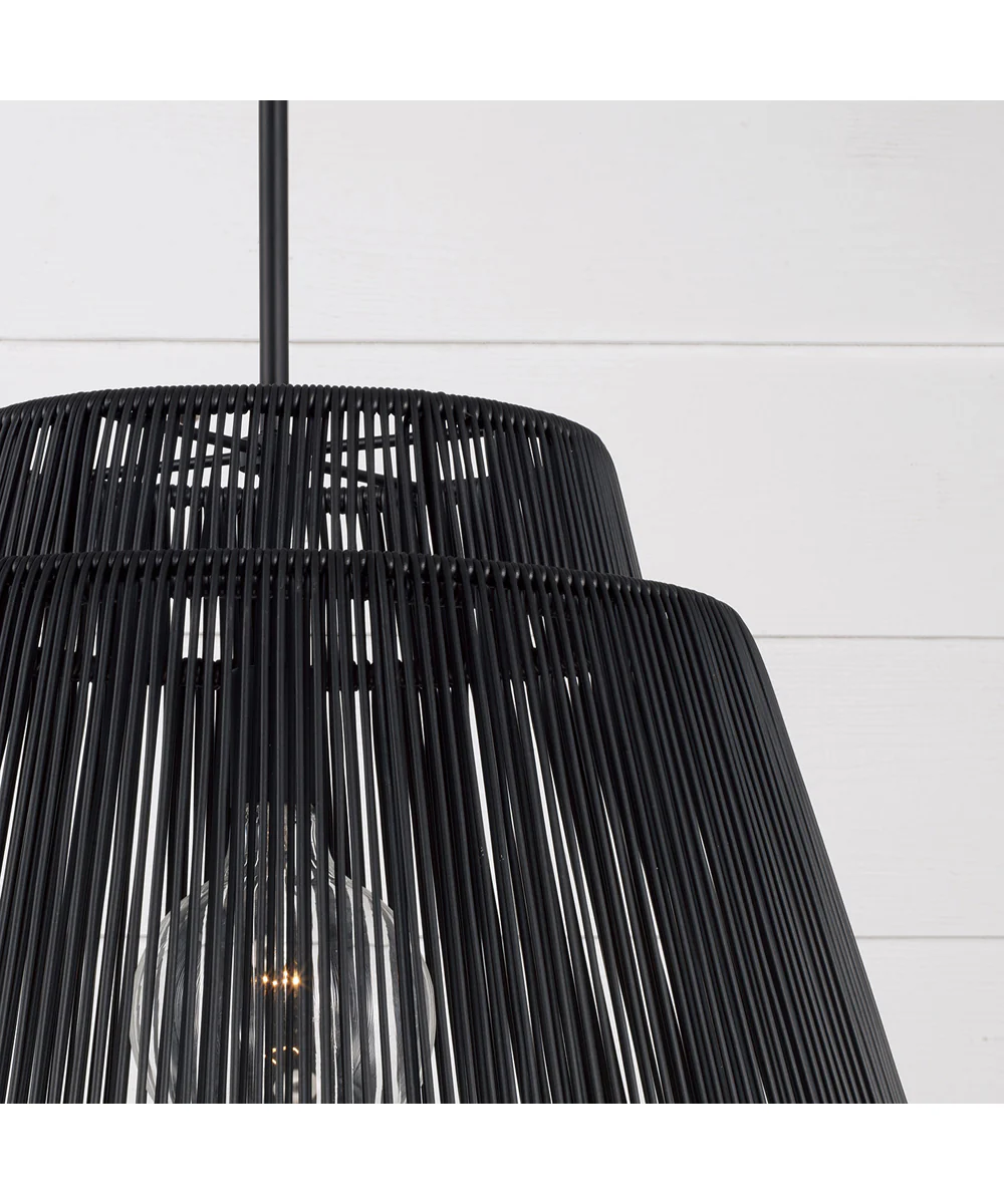 Jasper 1-Light Outdoor Hanging-Lantern Oynx and Black - Image 2