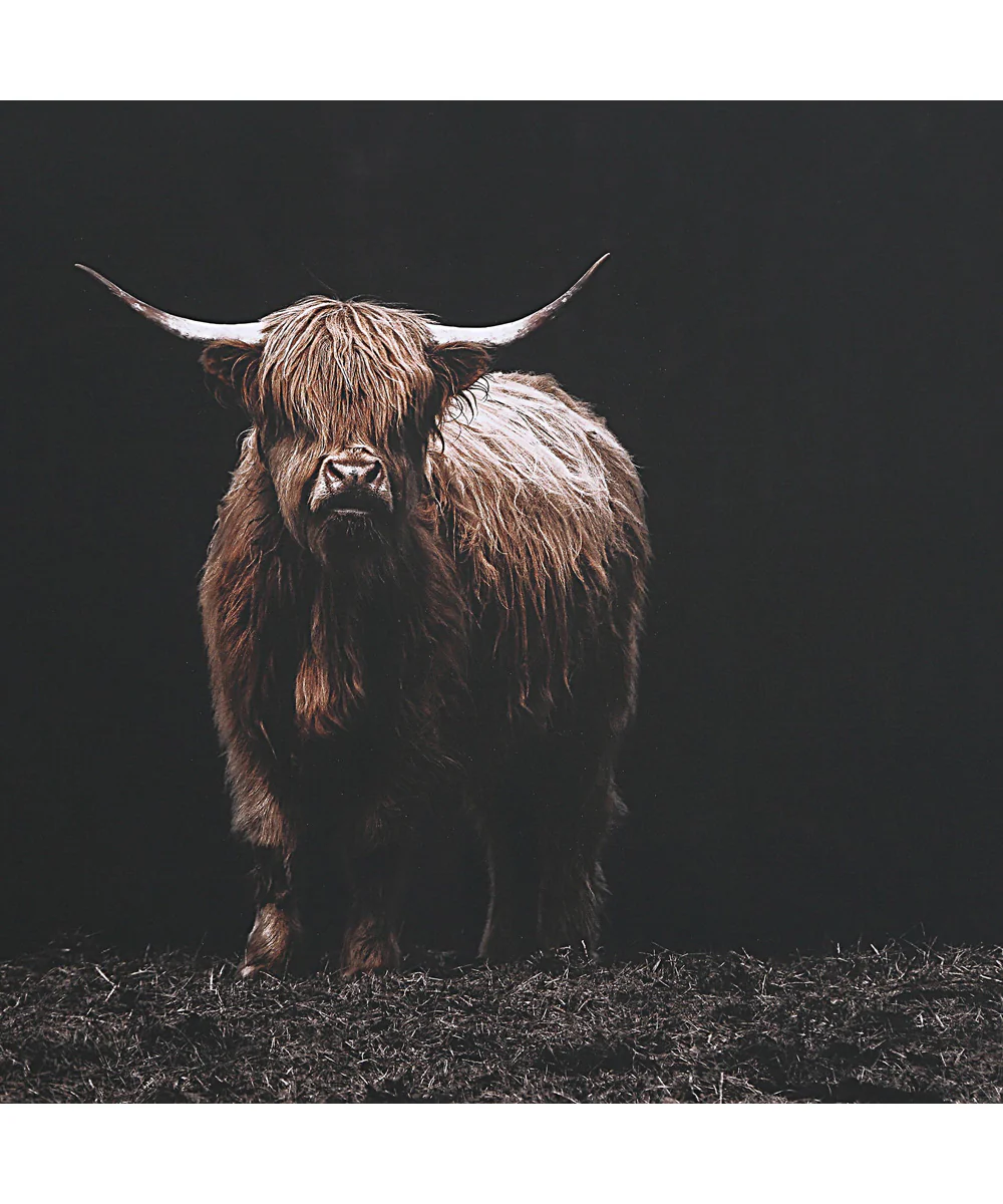 King Of The Hill Framed Bovine Print - Image 6