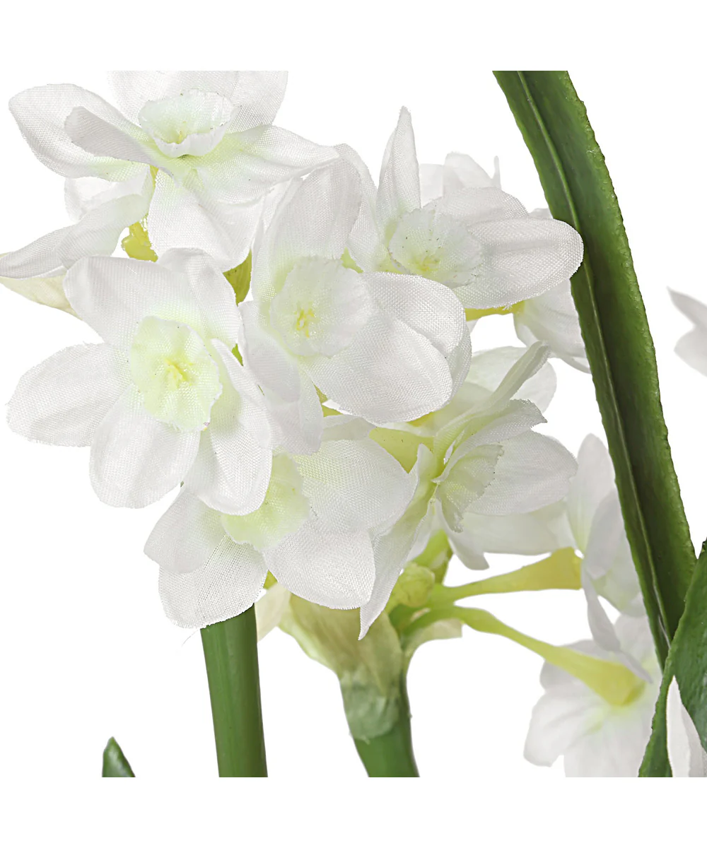 Lacey Daffodil Accent Arrangement - Image 3