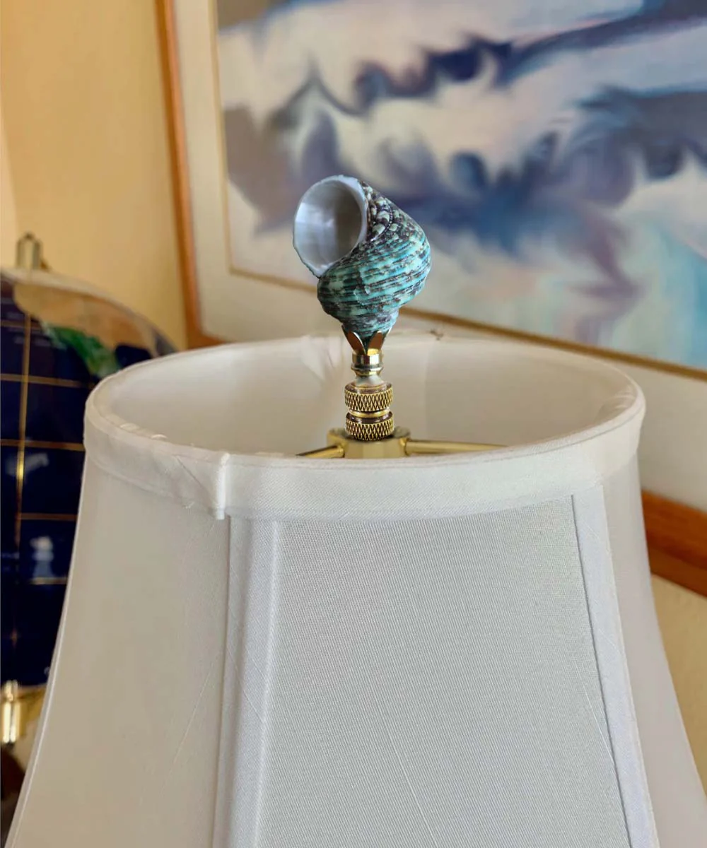 Sea Foam Turbo Sea Shell Lamp Finial Polished Chain 3"h - Image 2