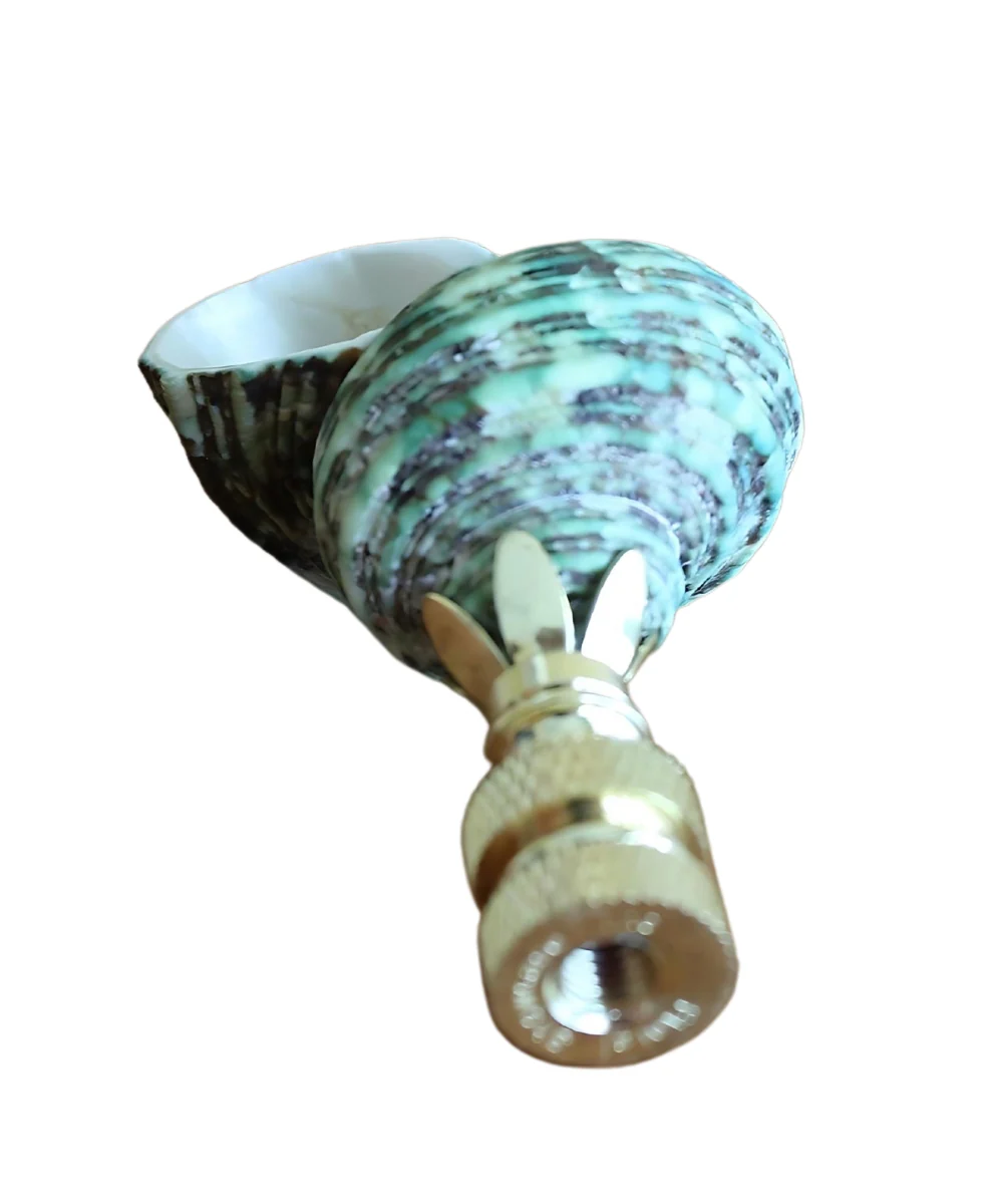 Sea Foam Turbo Sea Shell Lamp Finial Polished Chain 3"h - Image 3