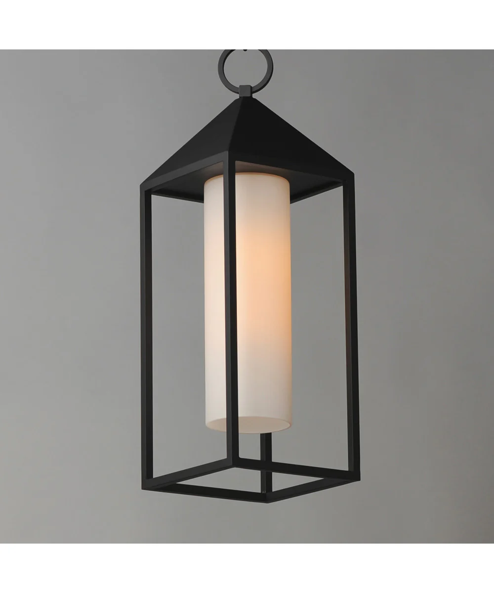 Aldous 1-Light Outdoor Pendant Black - Image 5