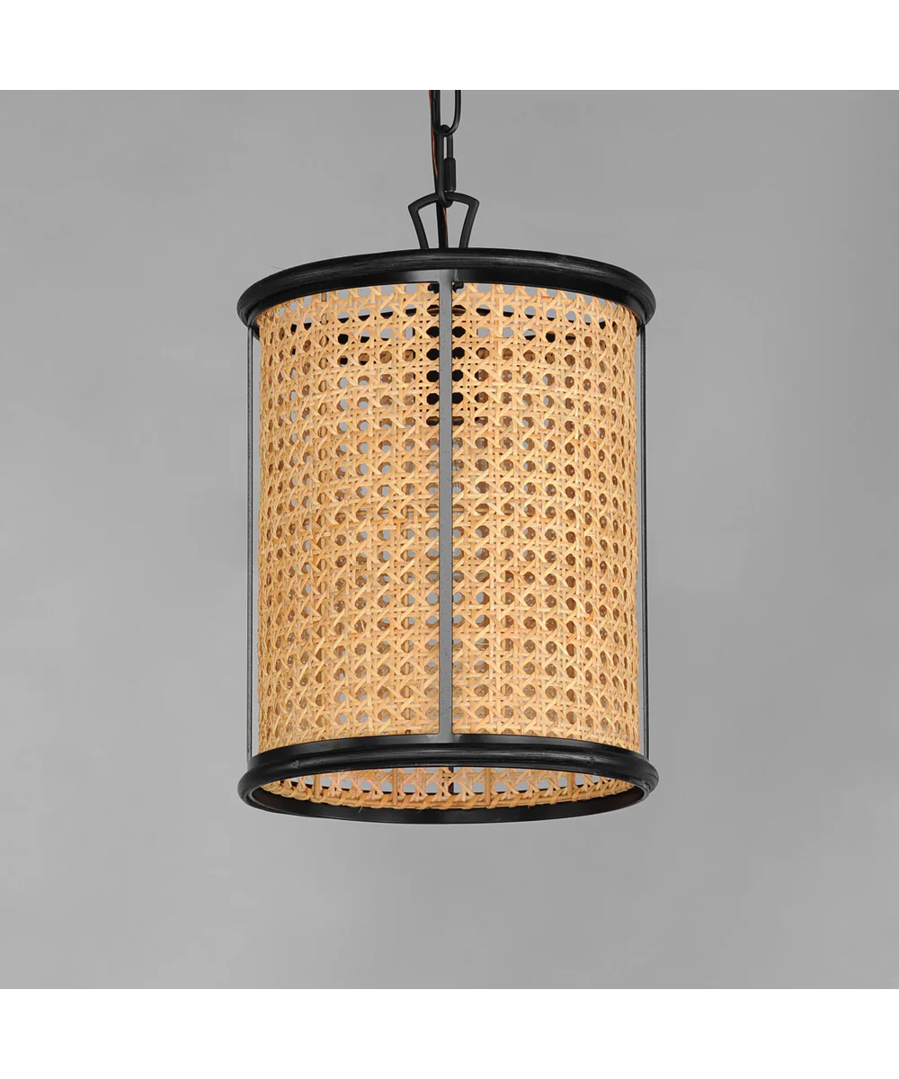 Cane 1-Light Pendant Black - Image 3