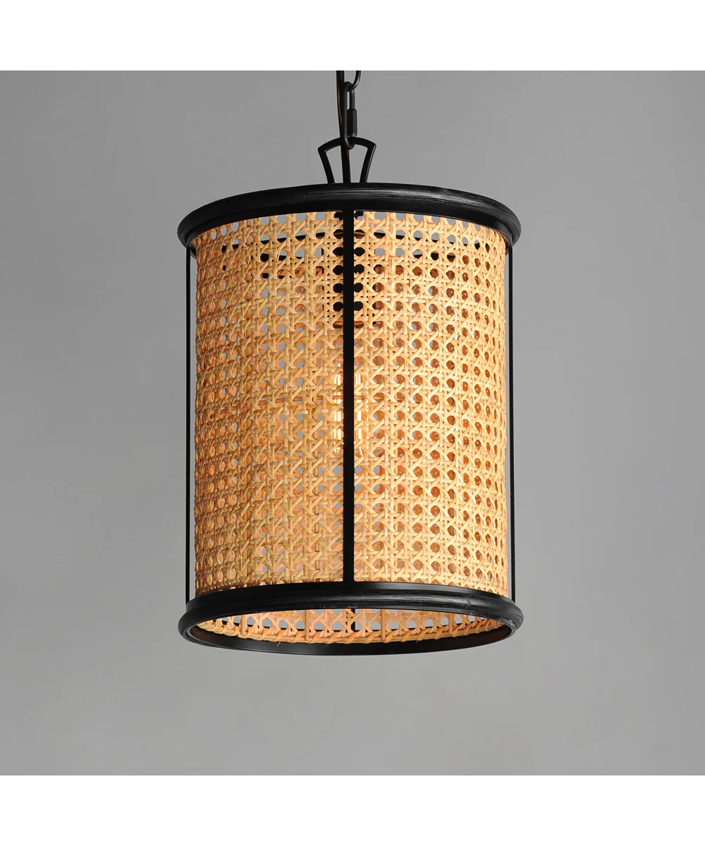 Cane 1-Light Pendant Black - Image 4