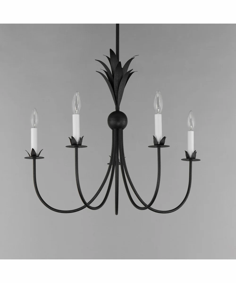 Paloma 5-Light Chandelier Anthracite - Image 4