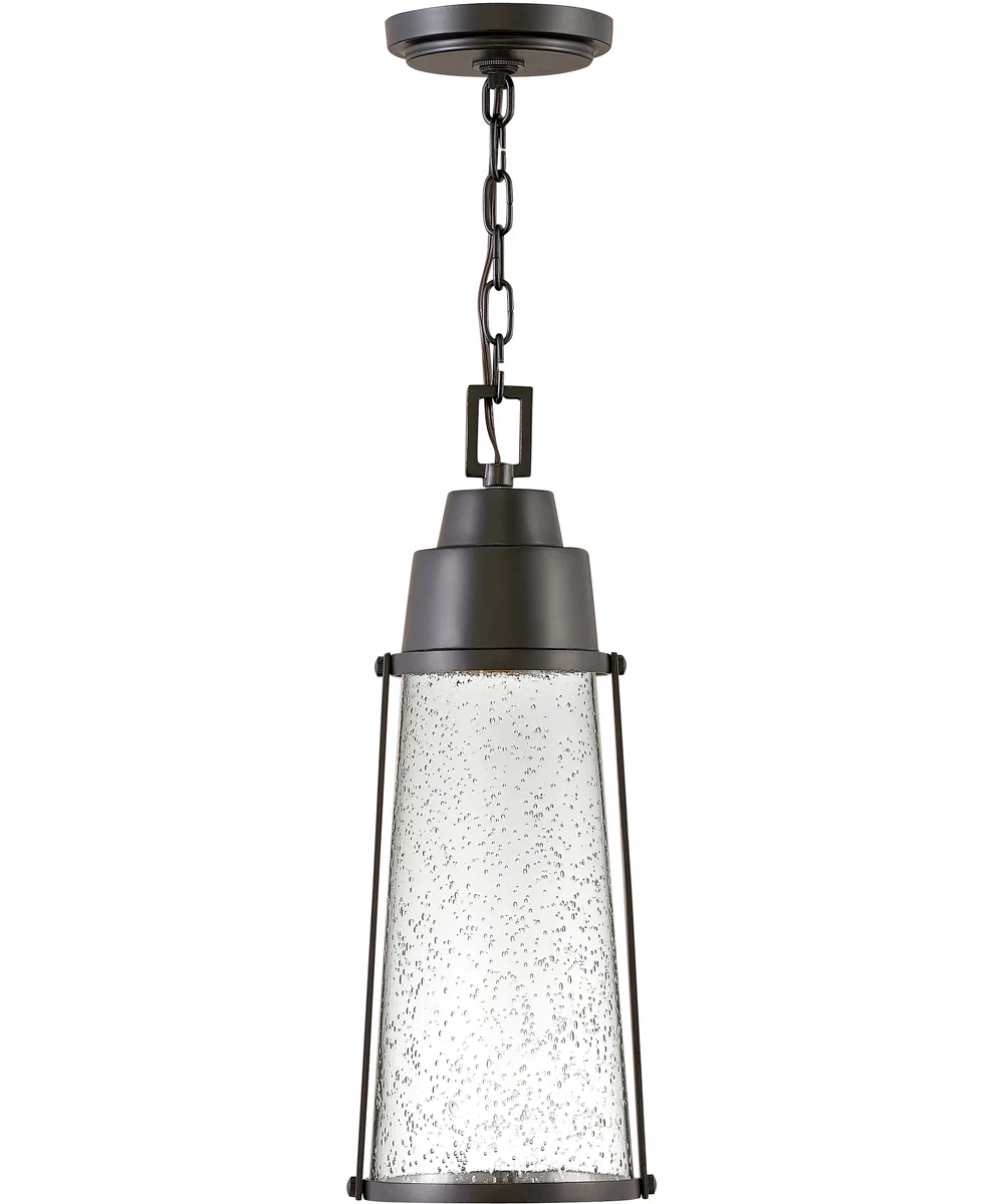 Miles Coastal Elements  1-Light Medium Outdoor Hanging Lantern in Black