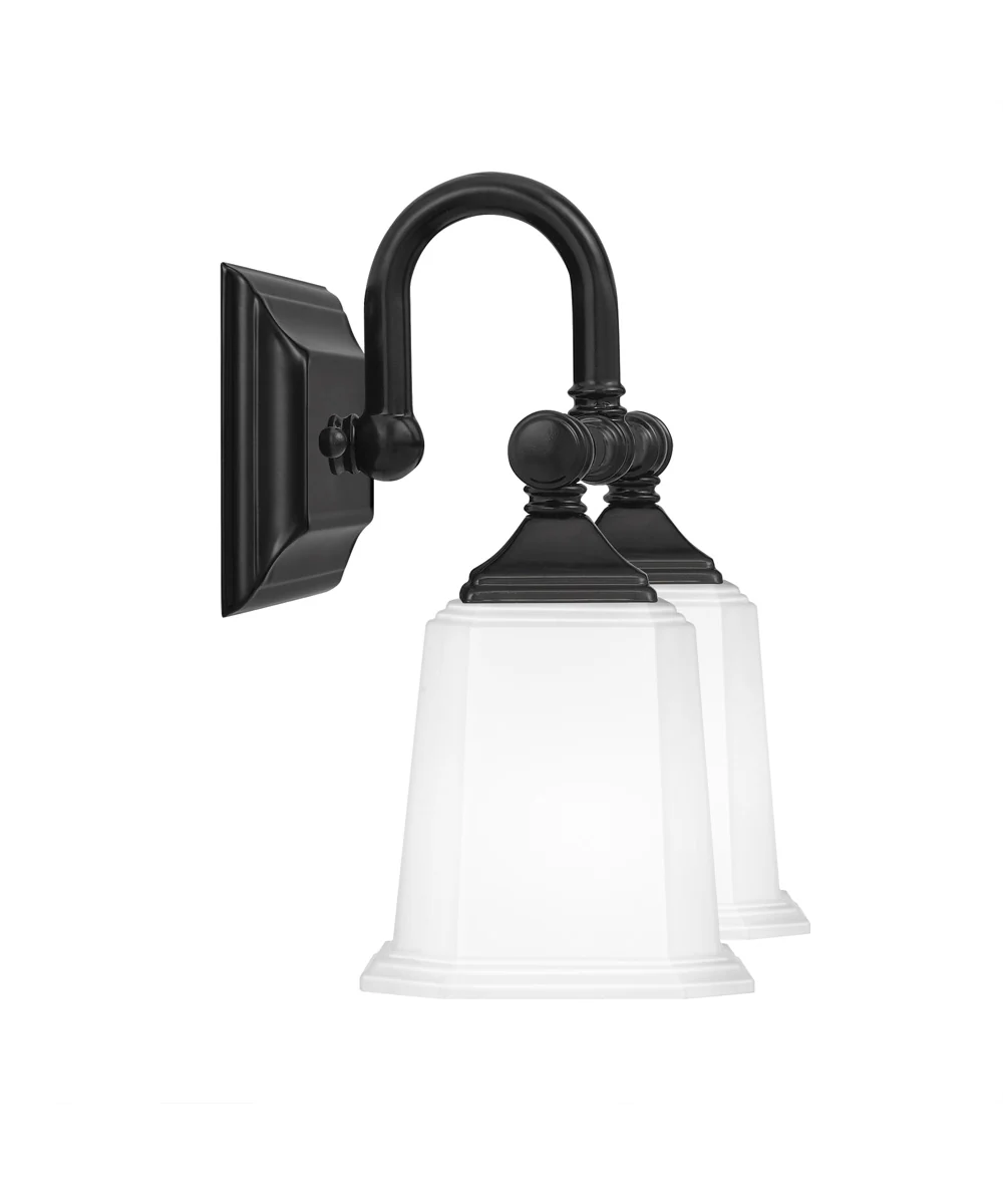 Nicholas Medium 2-light Bath Light Earth Black - Image 5