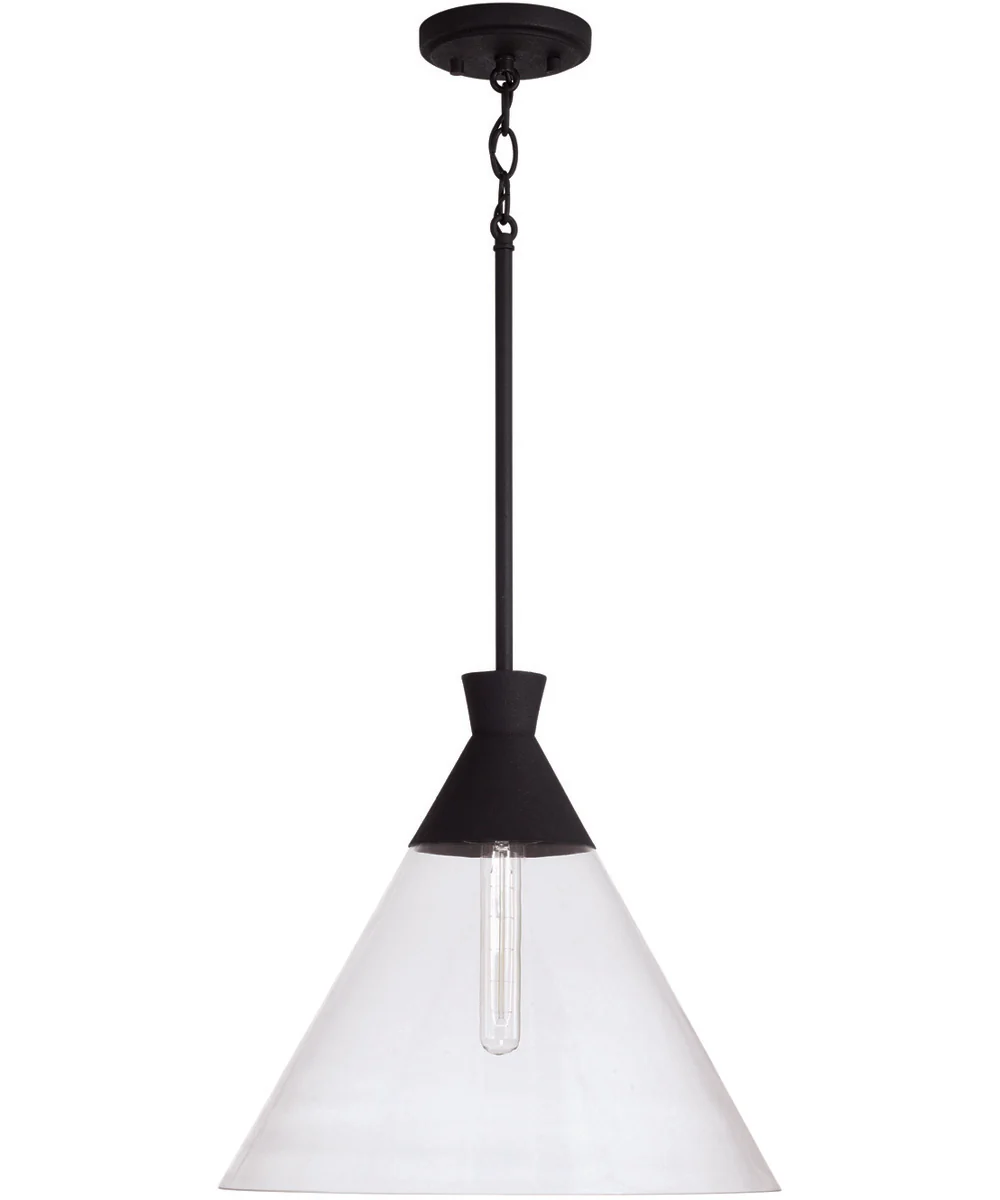 Paloma 1-Light Pendant Textured Black