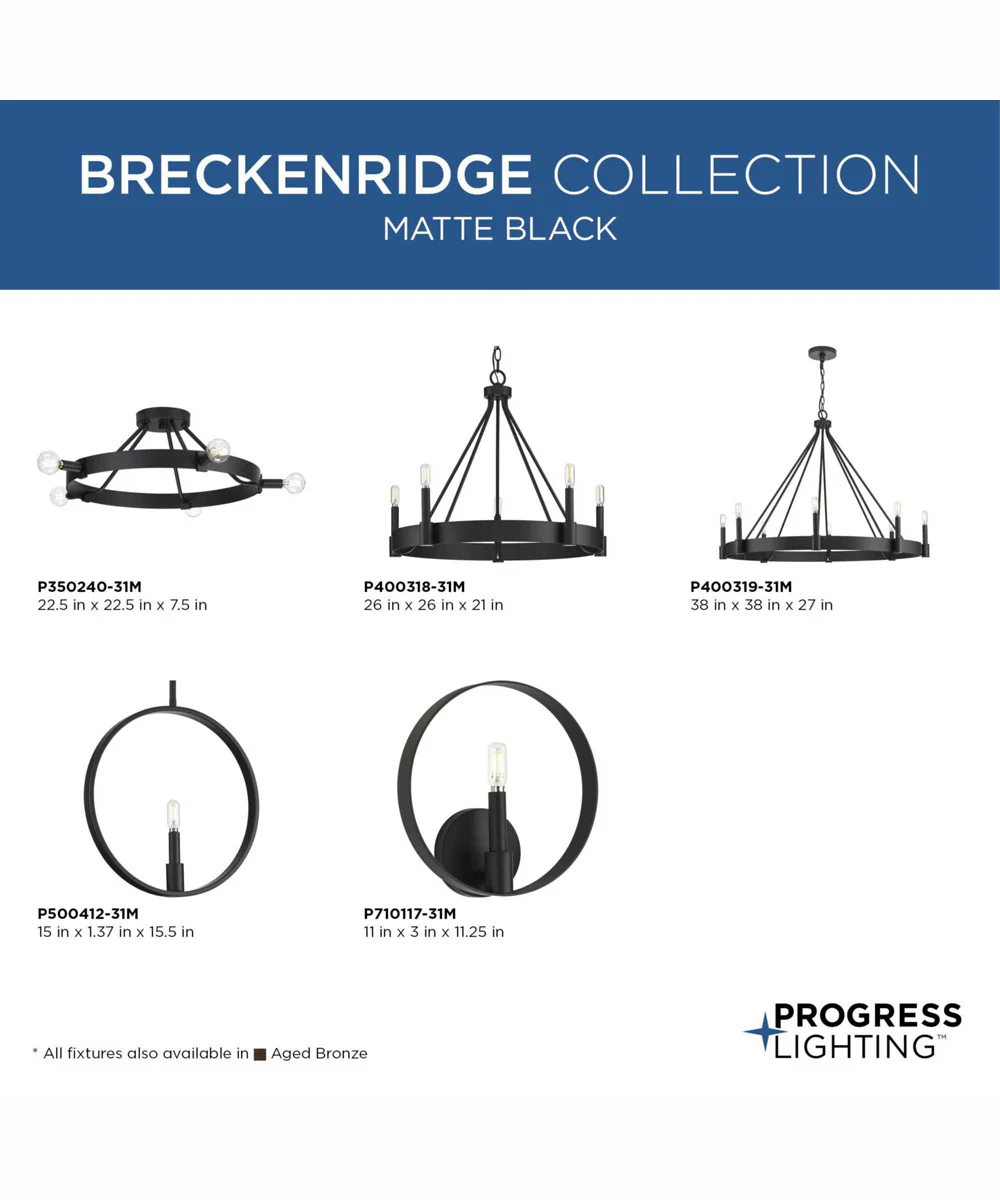 Breckenridge 1-Light Rustic Farmhouse Pendant Matte Black - Image 3
