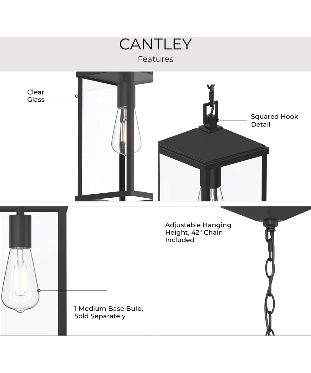 Cantley Outdoor Pendant with Clear Glass Panels Matte Black - Image 10