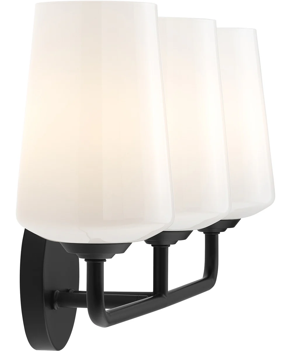 Celino 3-Light Bath & Vanity Black - Image 6