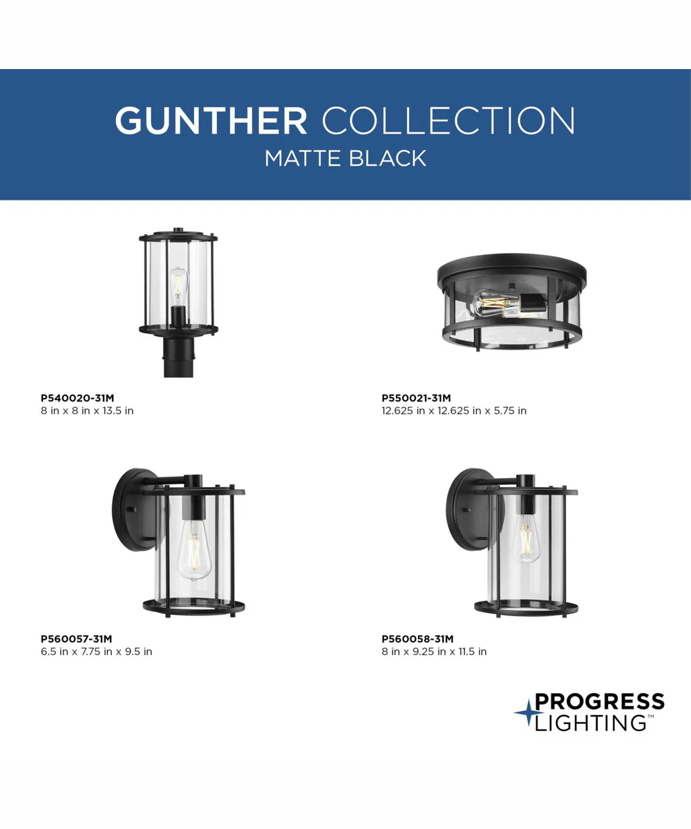 Gunther 2-Light Modern Farmhouse Flush Mount Light Matte Black - Image 4
