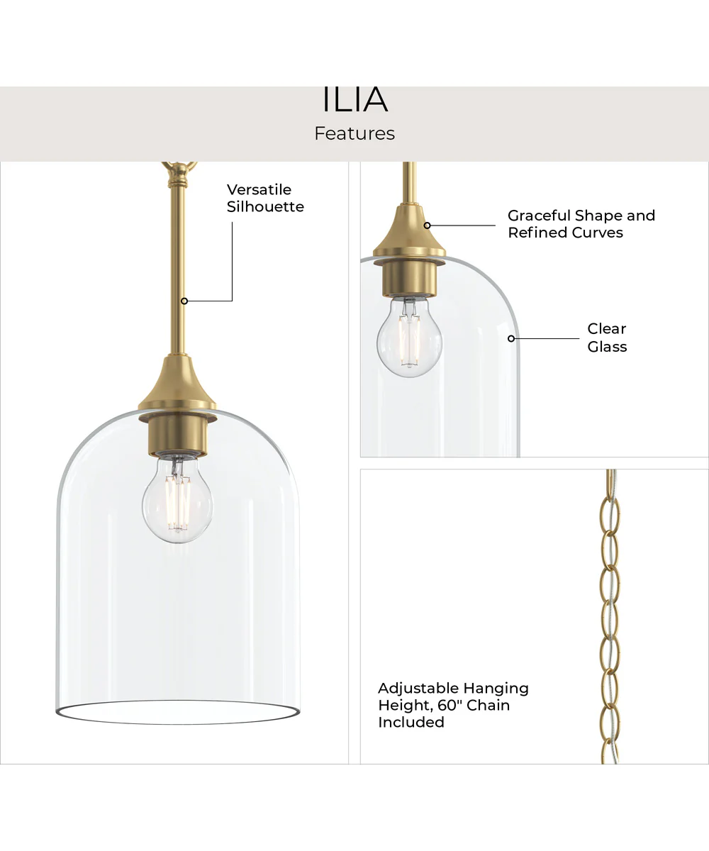 Ilia 1-Light Pendant with Clear Glass Shade Brushed Gold - Image 8