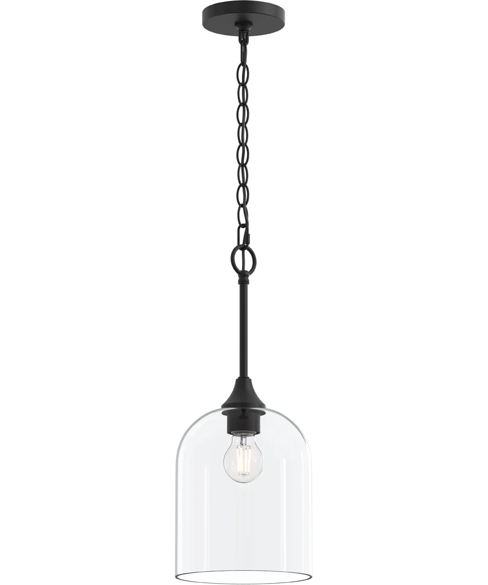 Ilia 1-Light Pendant with Clear Glass Shade Matte Black
