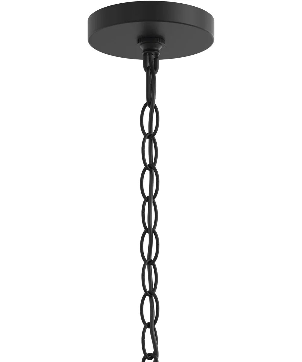Ilia 1-Light Pendant with Clear Glass Shade Matte Black - Image 5