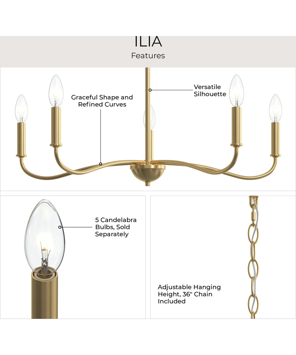 Ilia 5-Light Chandelier Brushed Gold - Image 7